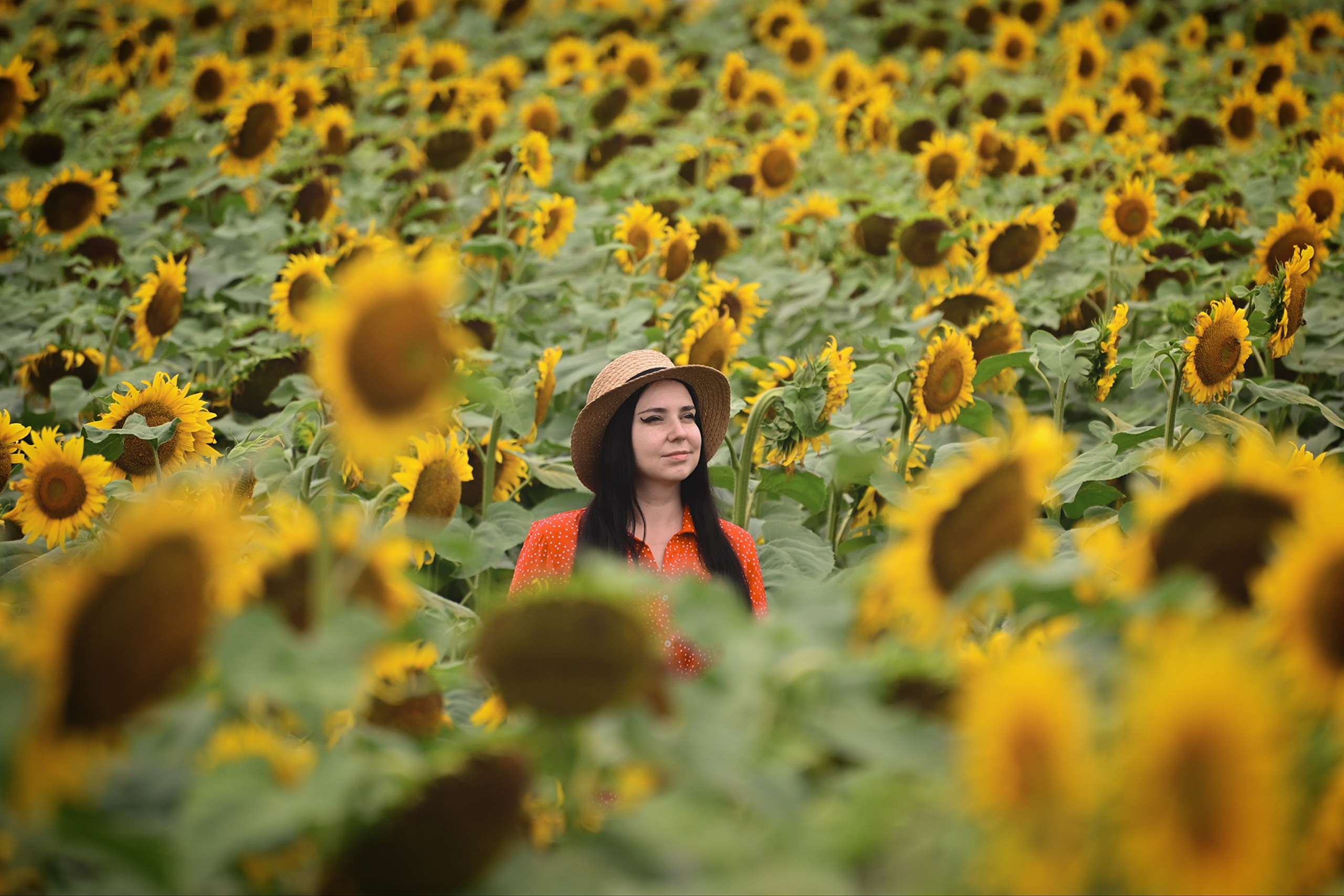 Девушка в шляпе в поле с подсолнухами