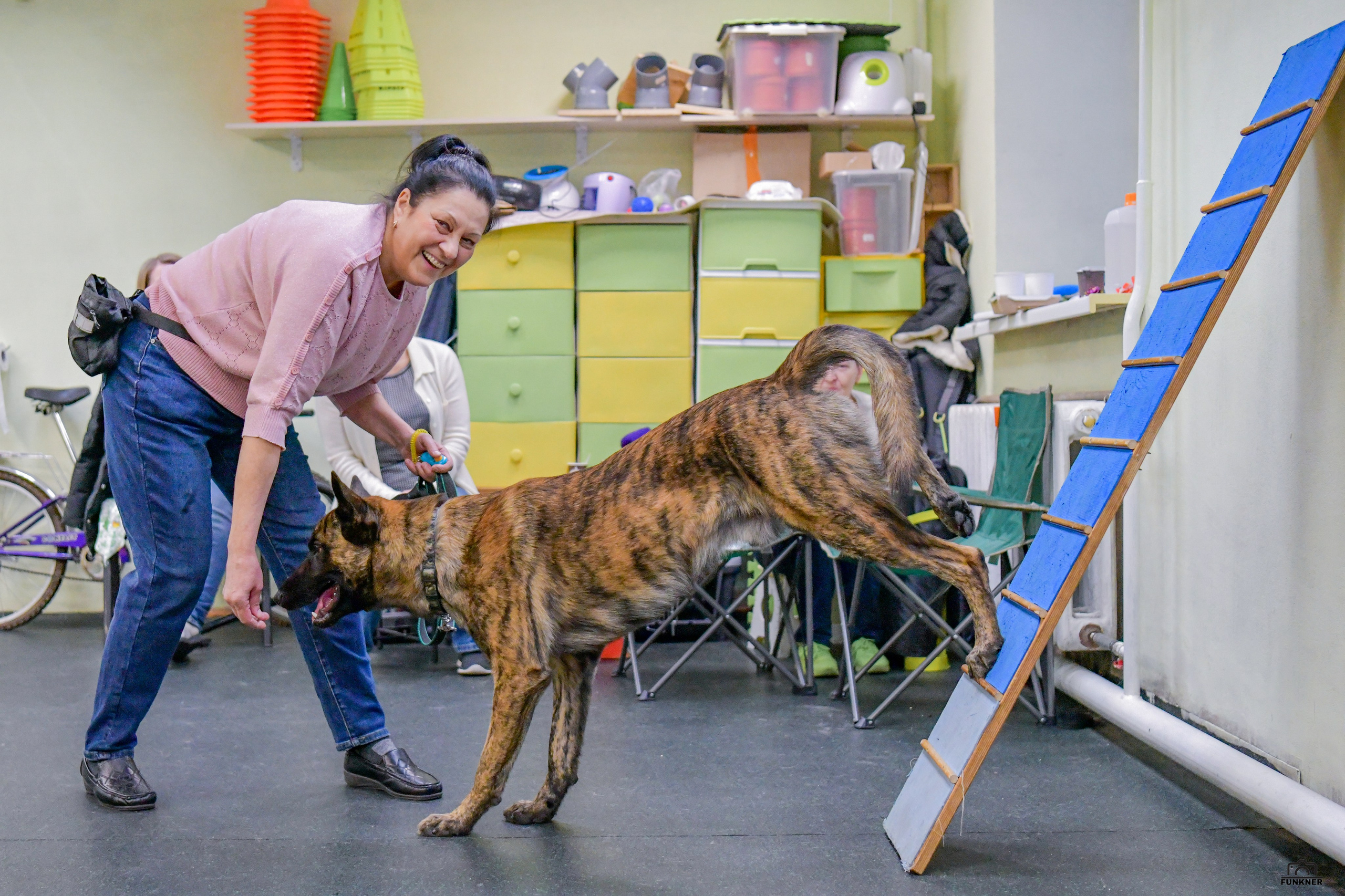 Кинологический клуб «Бодрый хвост». Свой взгляд через объектив