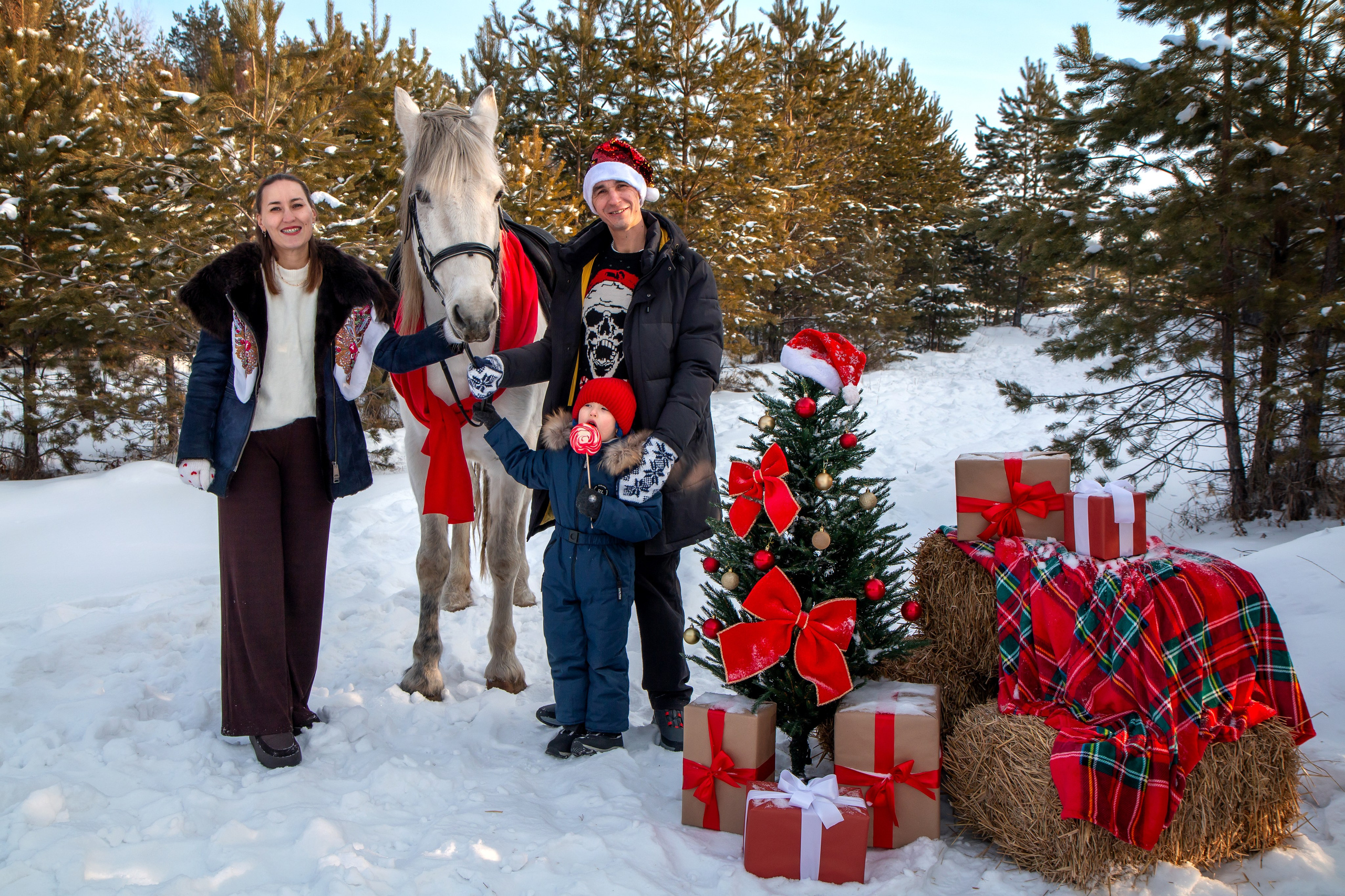 Анастасия с семьей. Участники «Новогоднего фотопроект с лошадью». Фотограф в Шелехове, лучшие выпускные альбомы в Шелехове
