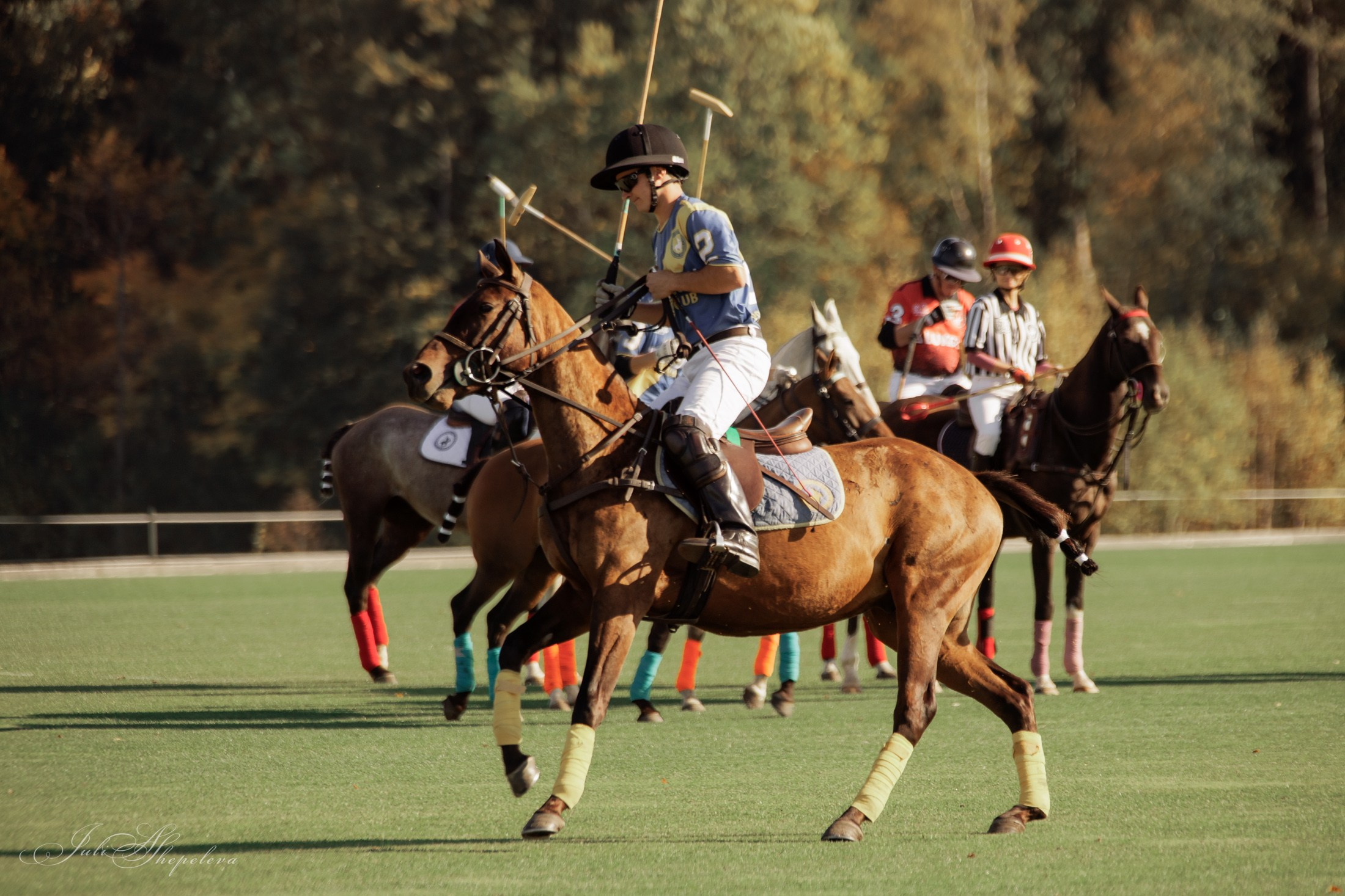 Осенний кубок по конному поло. Детская Конная фотография в Москве Юлия Шепелева