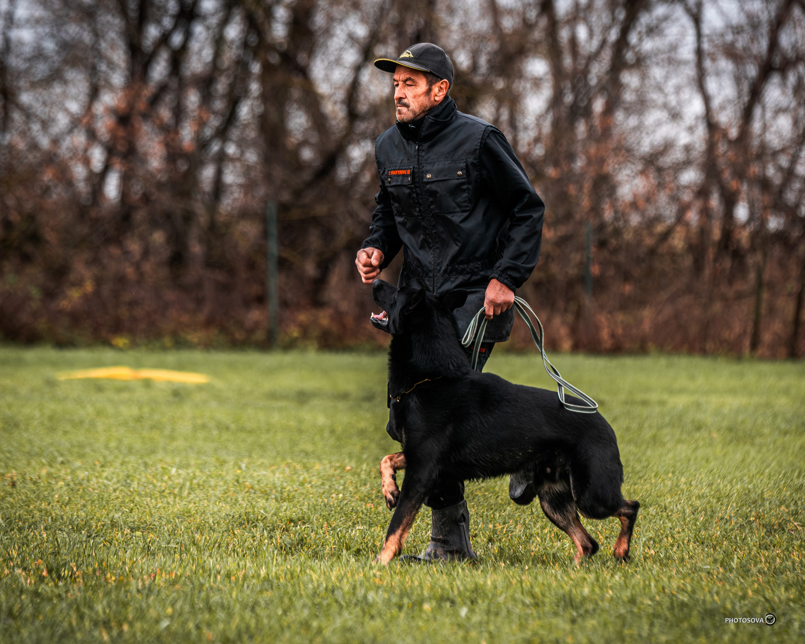 МЫ — КОМАНДА (соревнования) OKD, BH, IBGH, IGP. Фотограф-анималист, семейный фотограф в Москве и Подмосковье. Фотосъёмка кинологических дисциплин