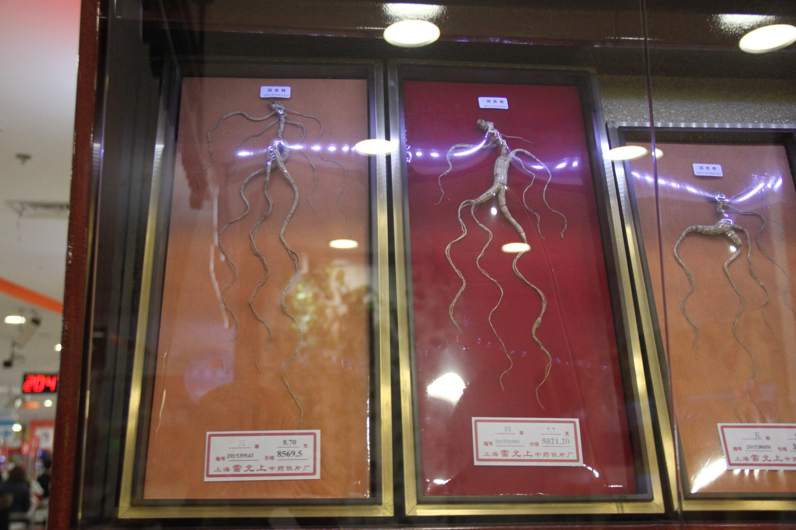 Shanghai, China. Andrey Filippov Photographer