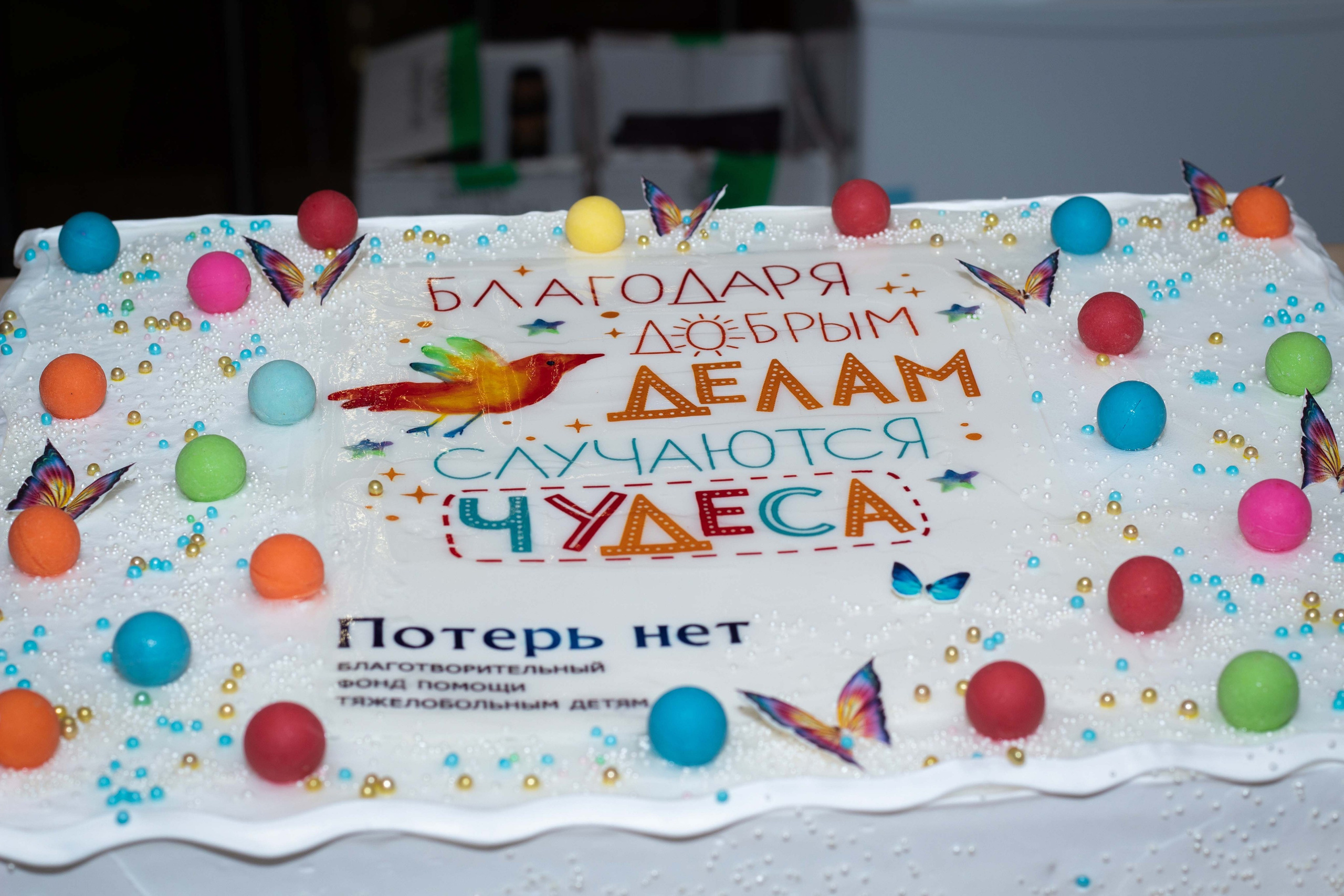 10 лет Благотворительному фонду «Потерь нет». Репортажный Фотограф