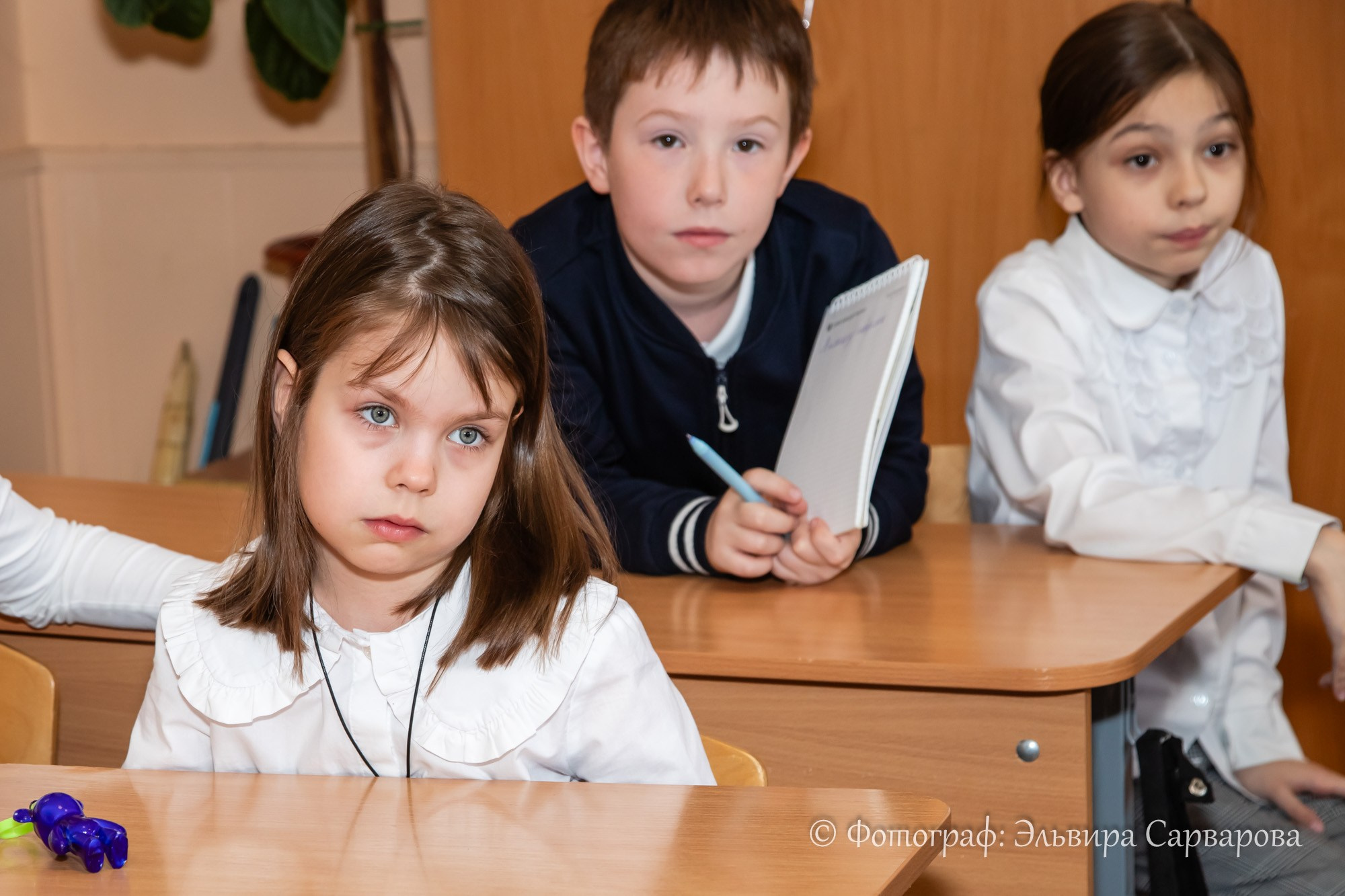 МК по карамели. Репортажный Фотограф