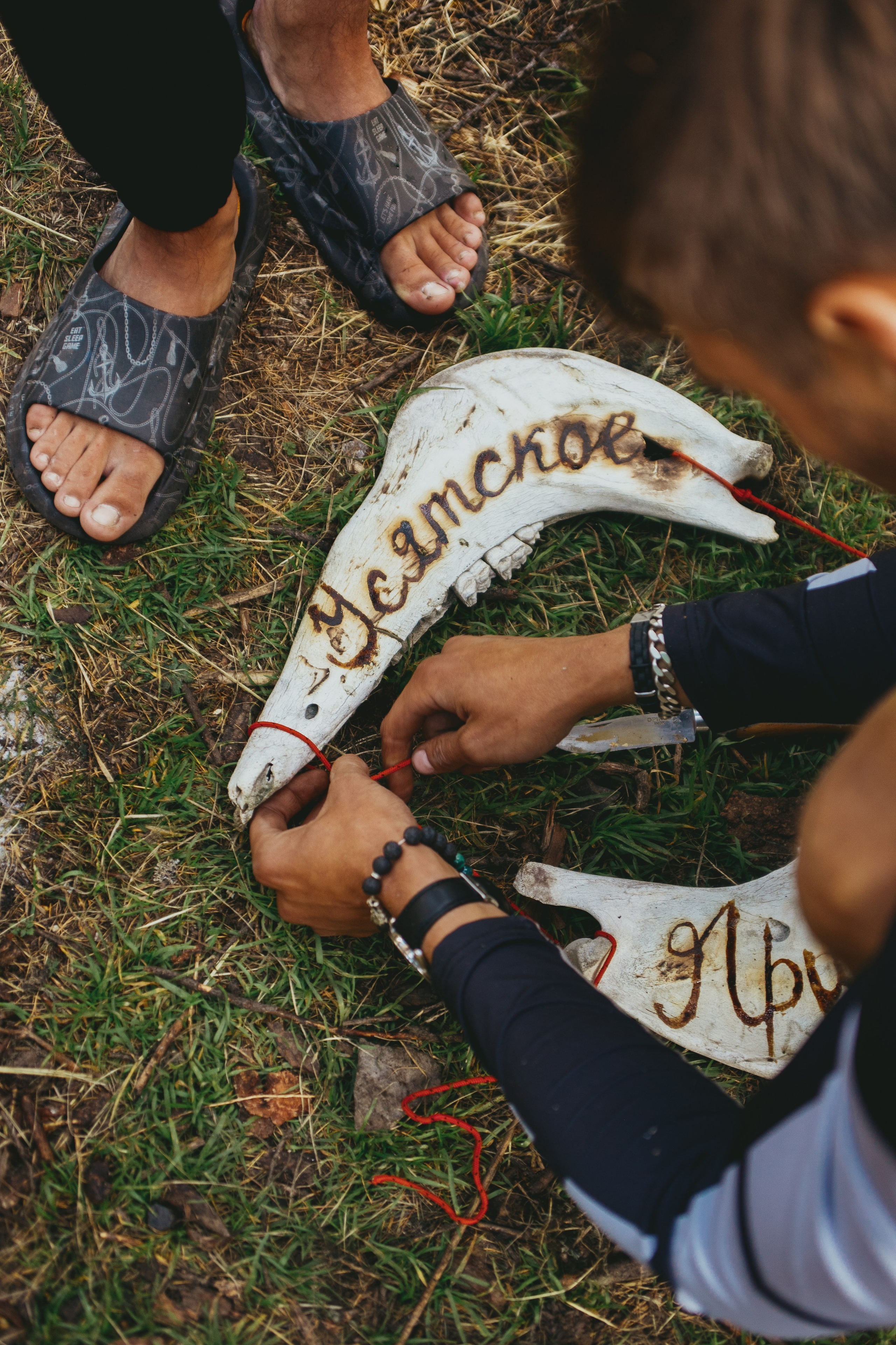 Шавлинские. Главная