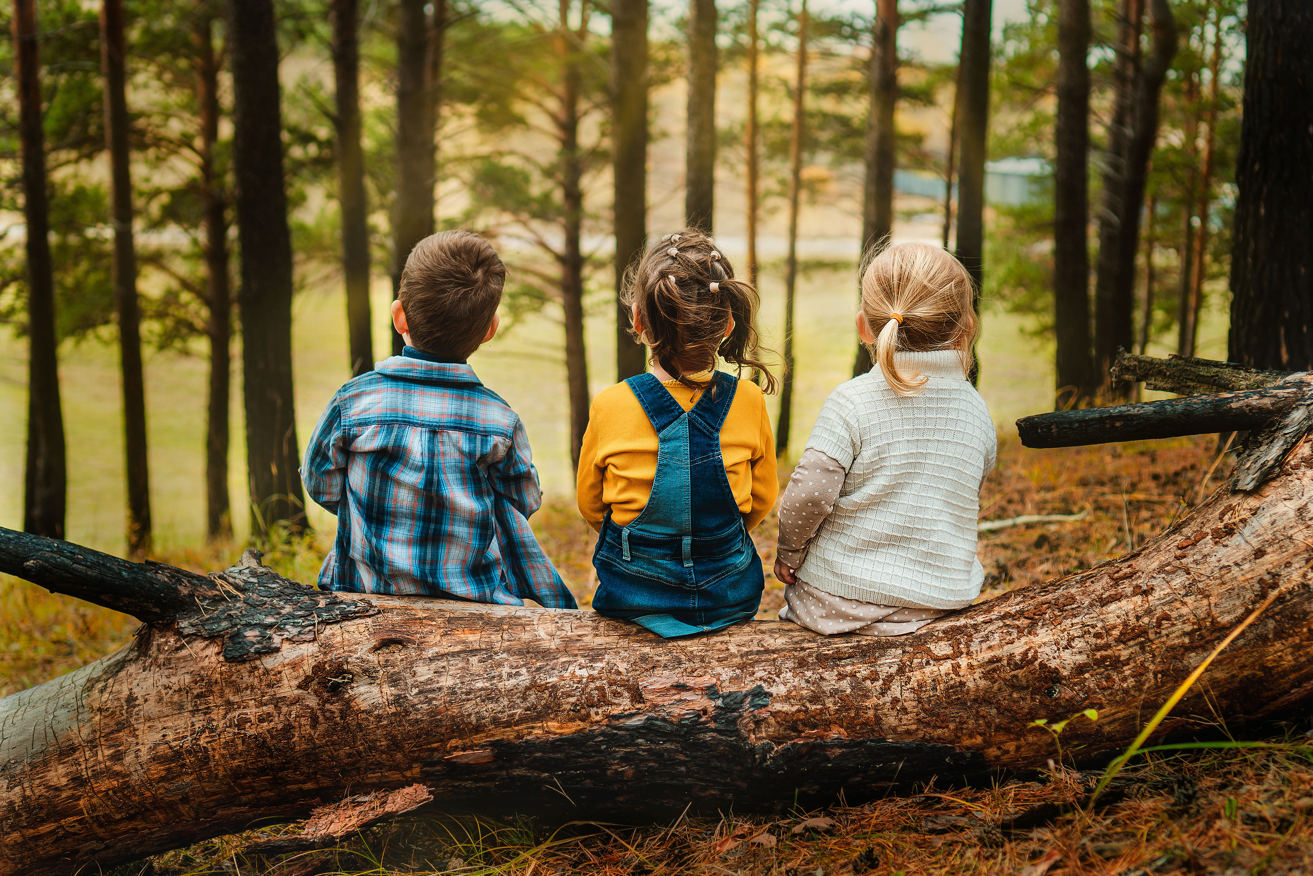В осеннем лесу. Анастасия Подольская: фотограф из Иркутска