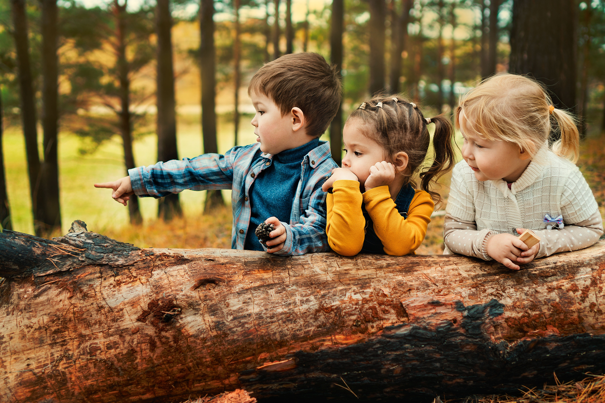 В осеннем лесу. Анастасия Подольская: фотограф из Иркутска