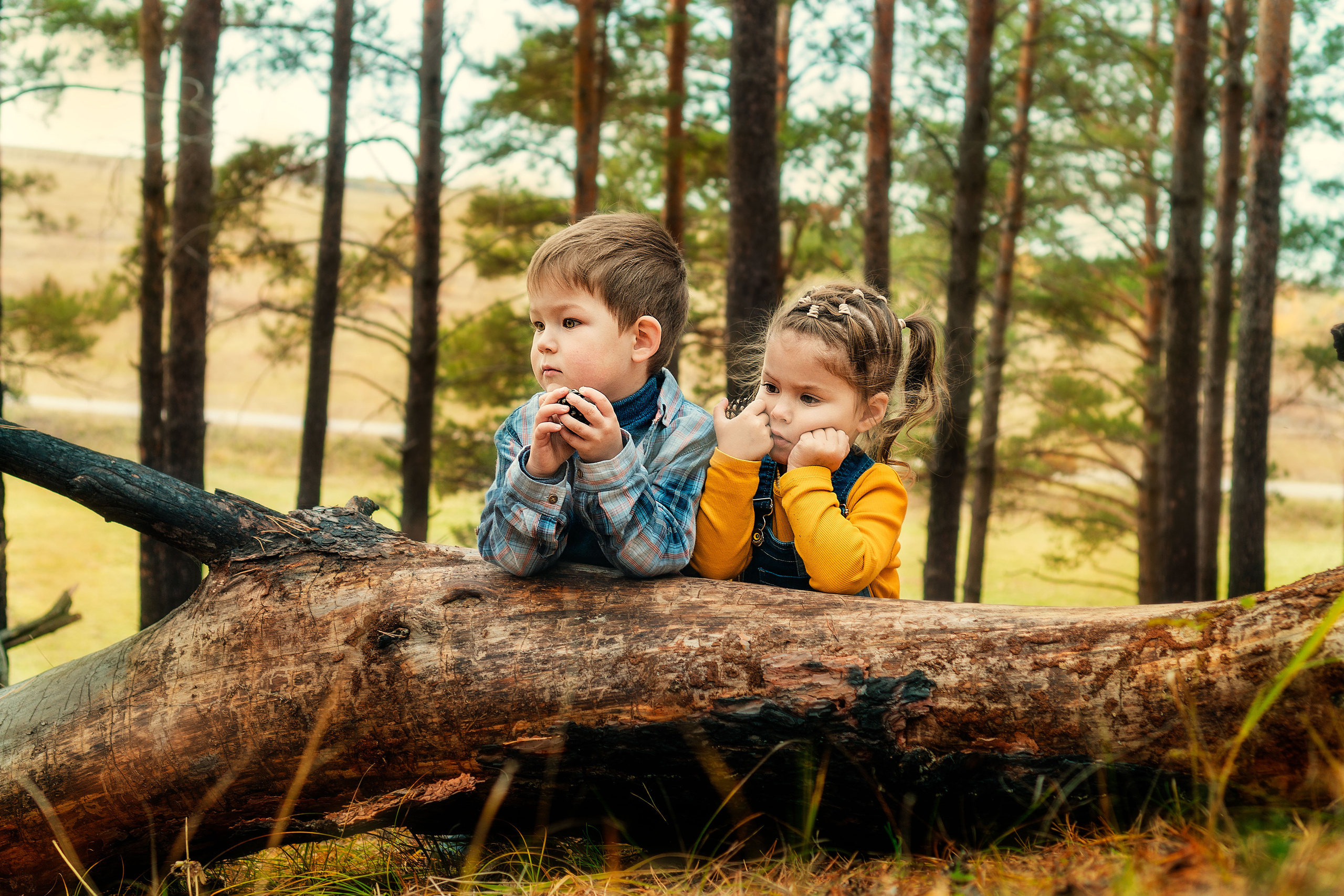 В осеннем лесу. Анастасия Подольская: фотограф из Иркутска