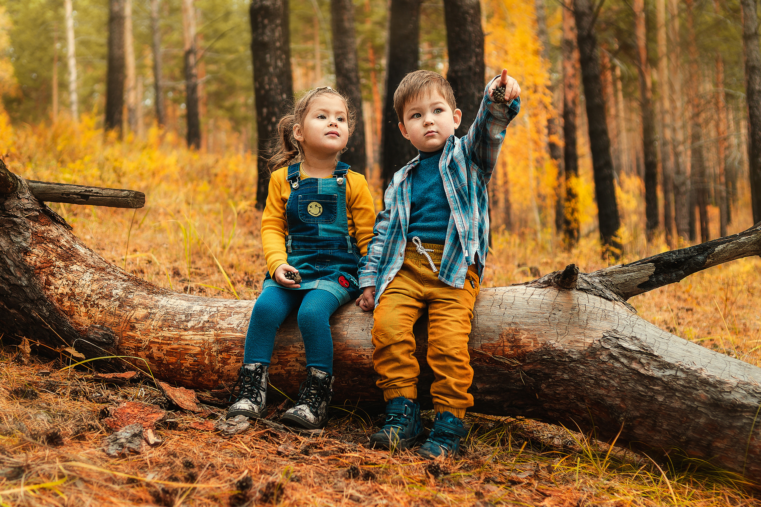 В осеннем лесу. Анастасия Подольская: фотограф из Иркутска