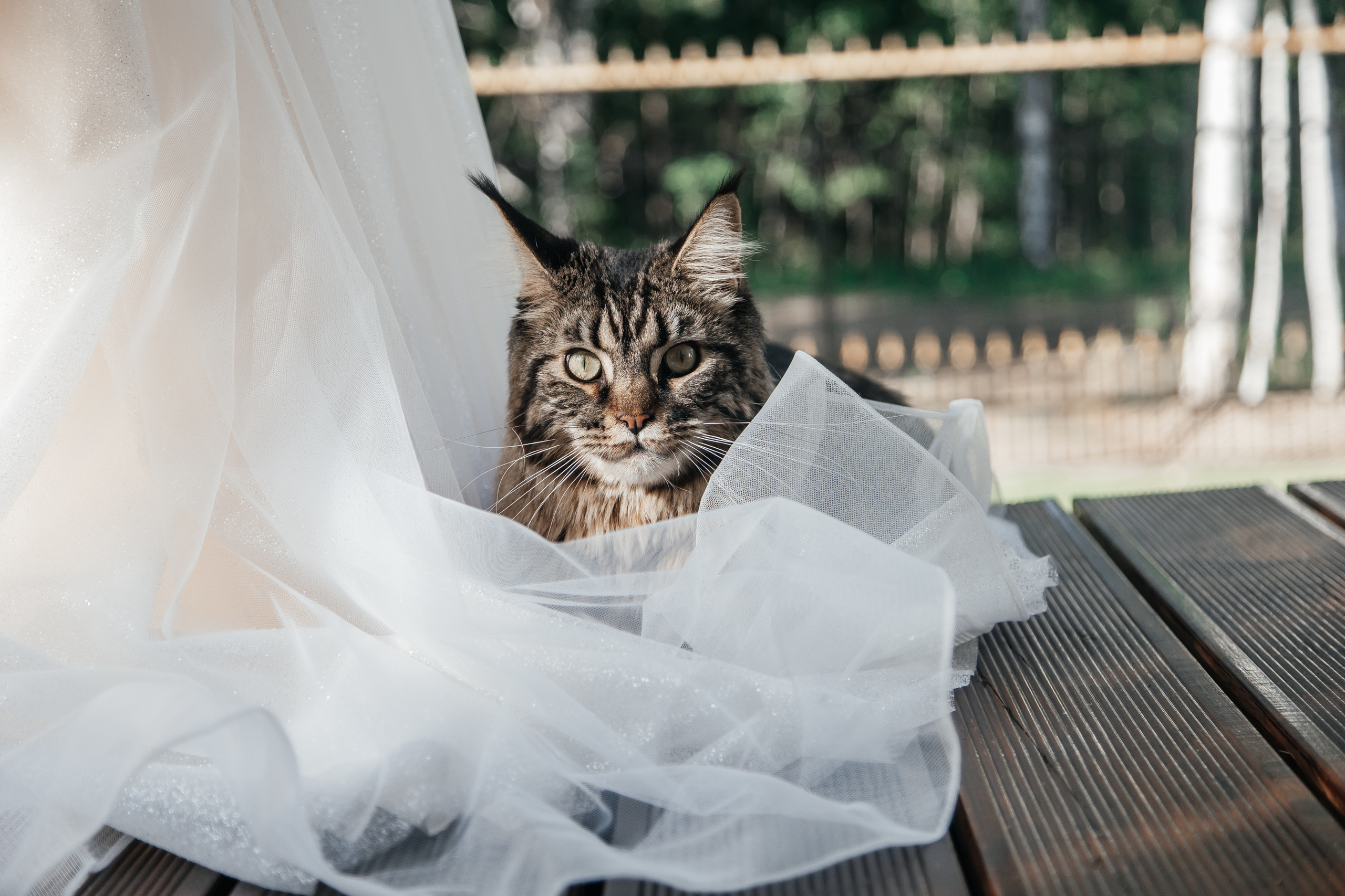 Кристина и Виталий. Свадебный  фотограф Новосибирск