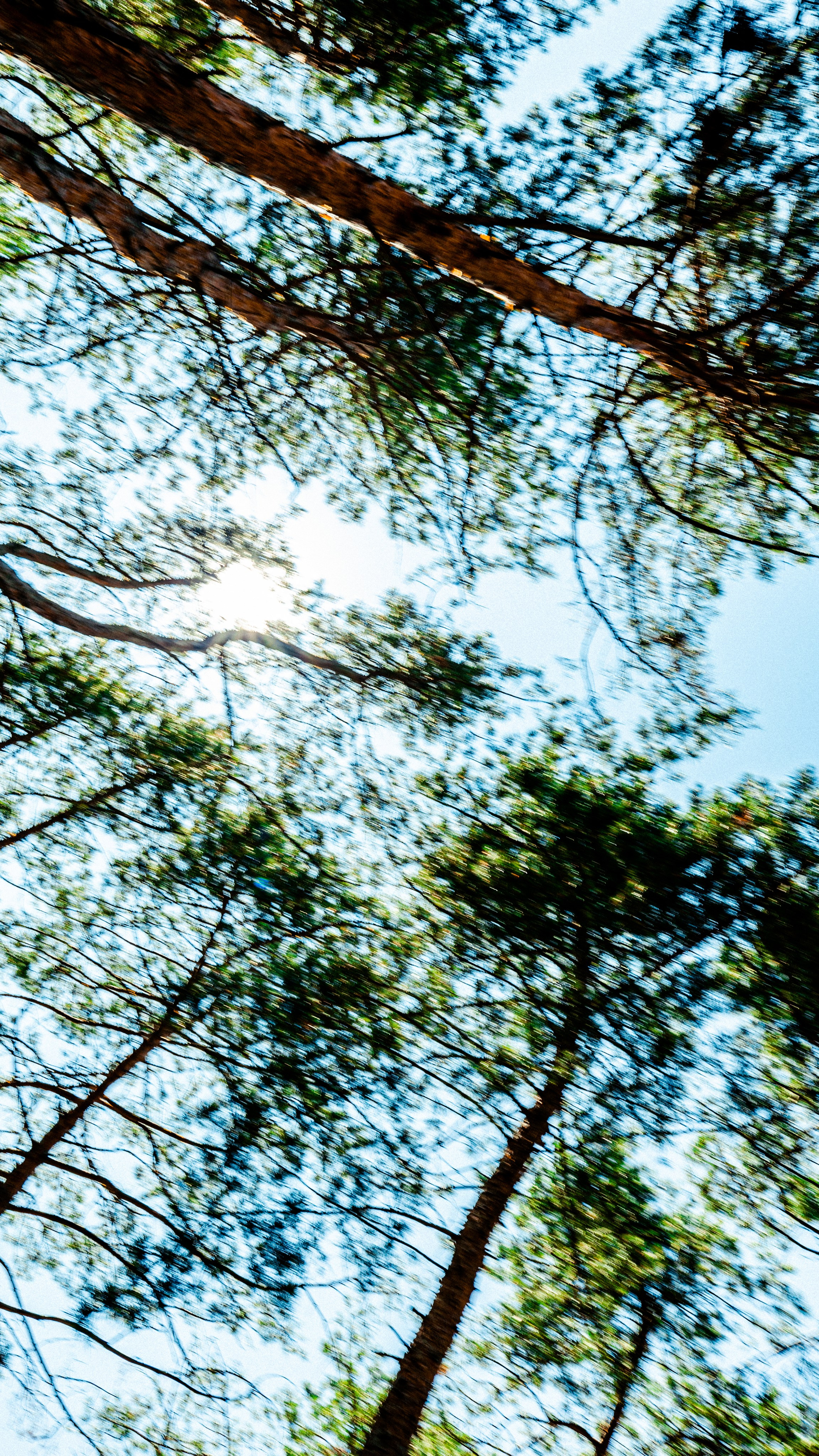 РотФронт. Дима Меткин. Фотограф и режиссер (Москва)