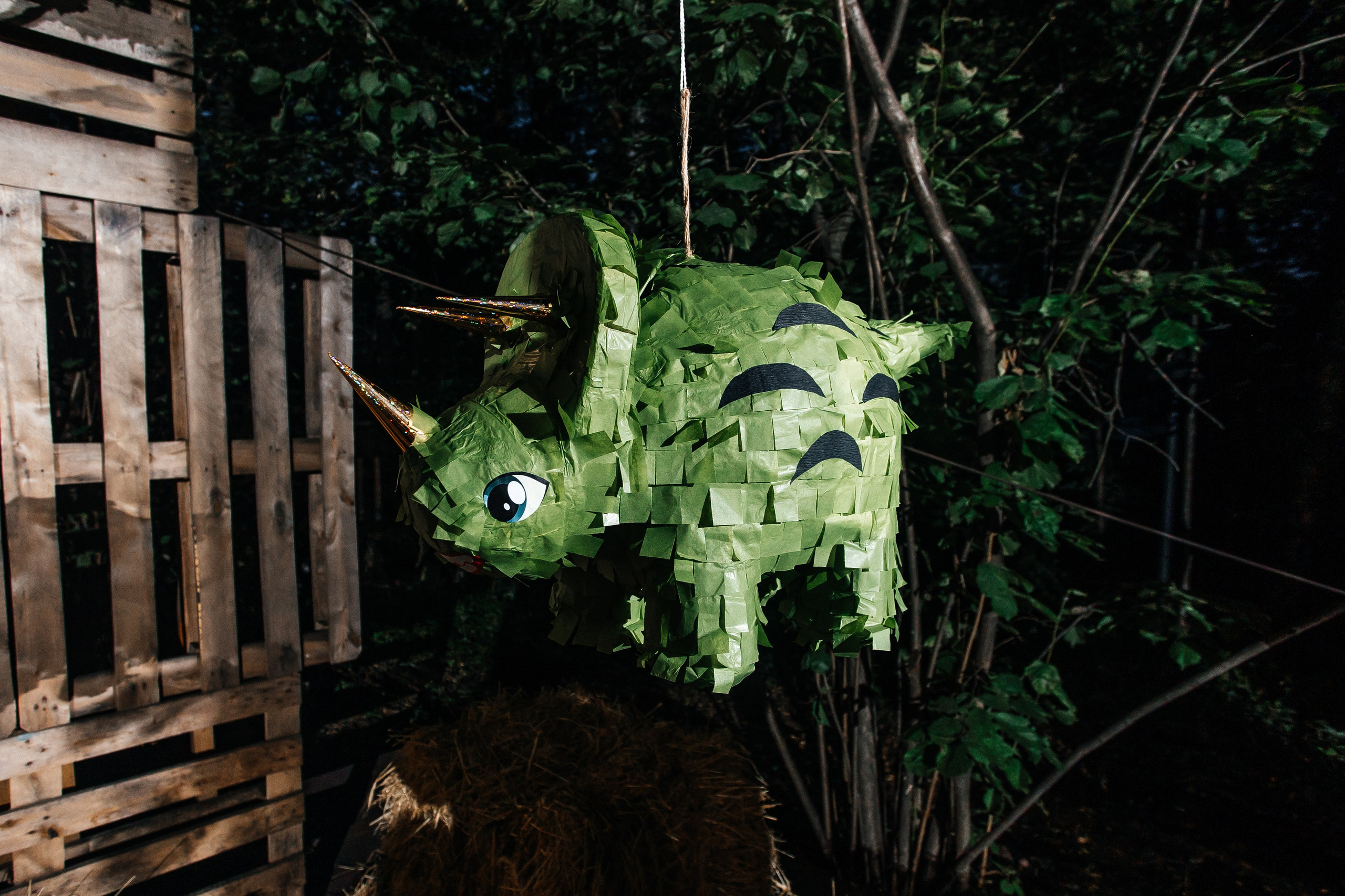 Sasha & Olya. Свадебный фотограф в Москве Виктория Арехова