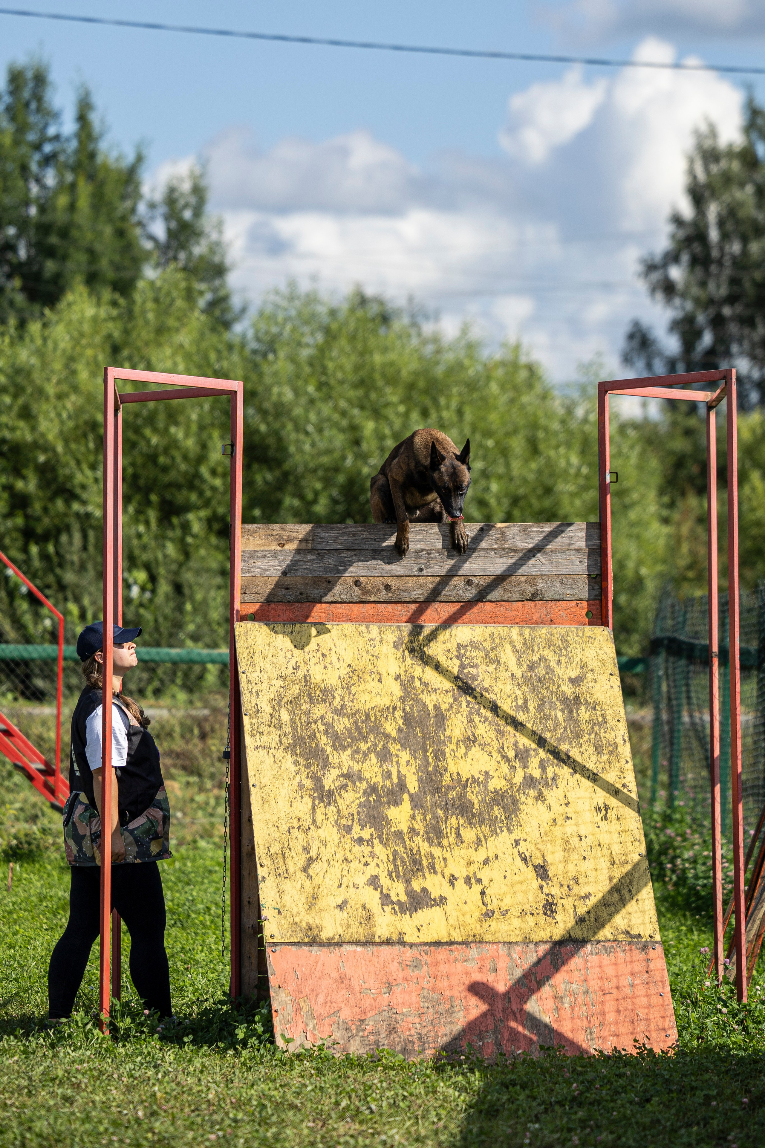 Соревнования по Мондьорингу г. Вологда 10-11.08.2024. Фотограф-анималист Анна Маринич