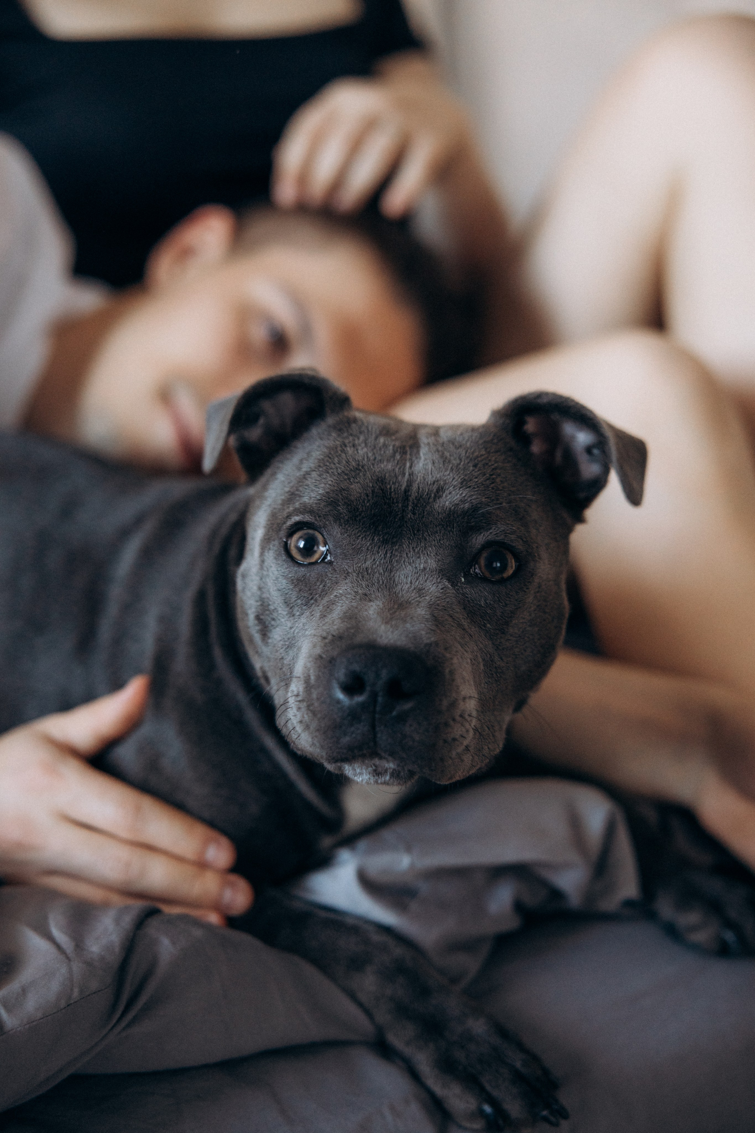 Таня, Егор и Луна. Фотограф анималист в Казани Алина Сулейманова. Фотограф животных