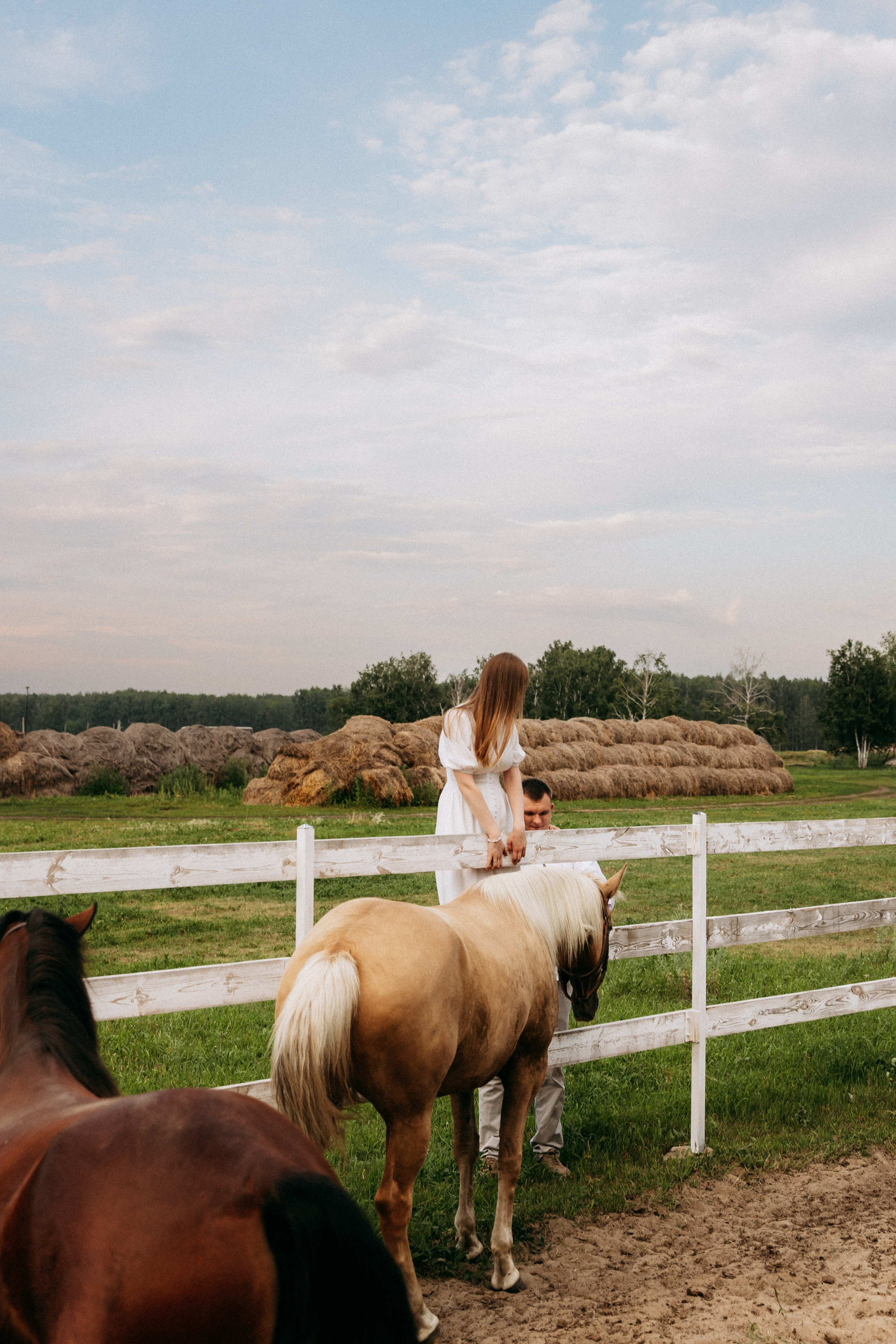 Мира и её семья. Главная