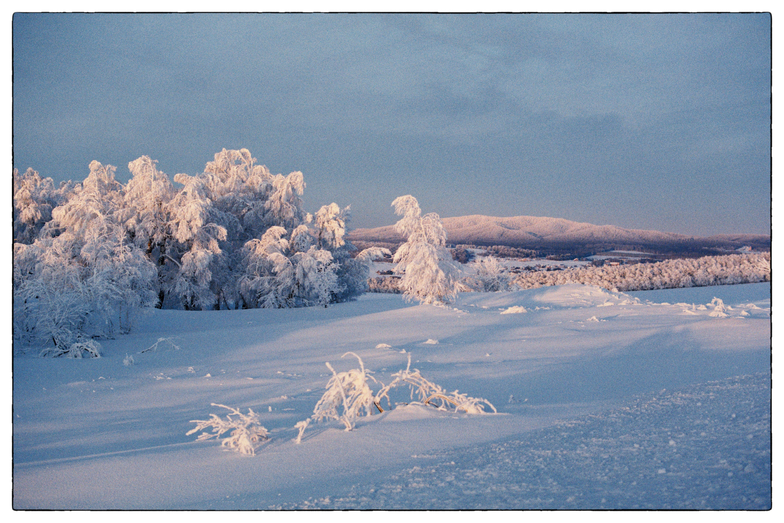Природа. Фотограф Филякин Константин