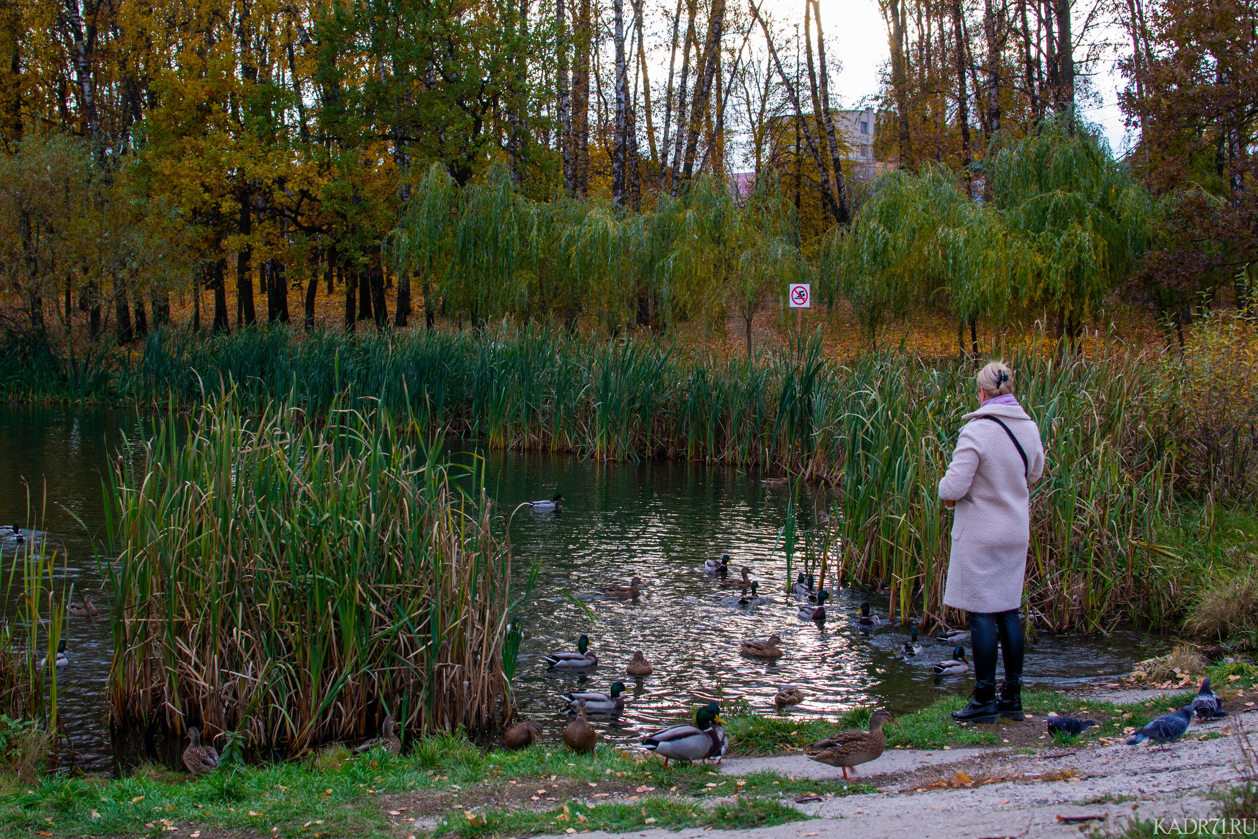 Центральный парк культуры и отдыха им. П. П. Белоусова. Фотограф в Туле Крупский АнДРей. Фотостудия «КАДР71» в Туле