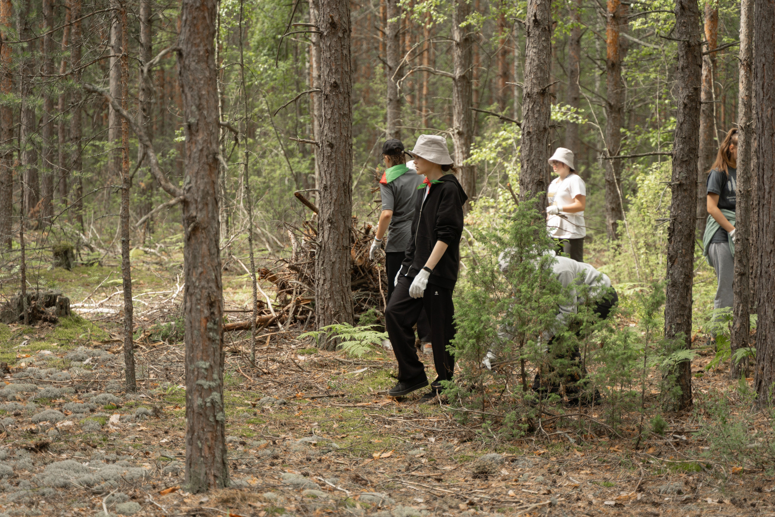 Эко-сборы добровольцев «О! Пушка» в национальном парке «Мещерский» 2024. Фотограф Надежда Погребняк | Рязань | Москва