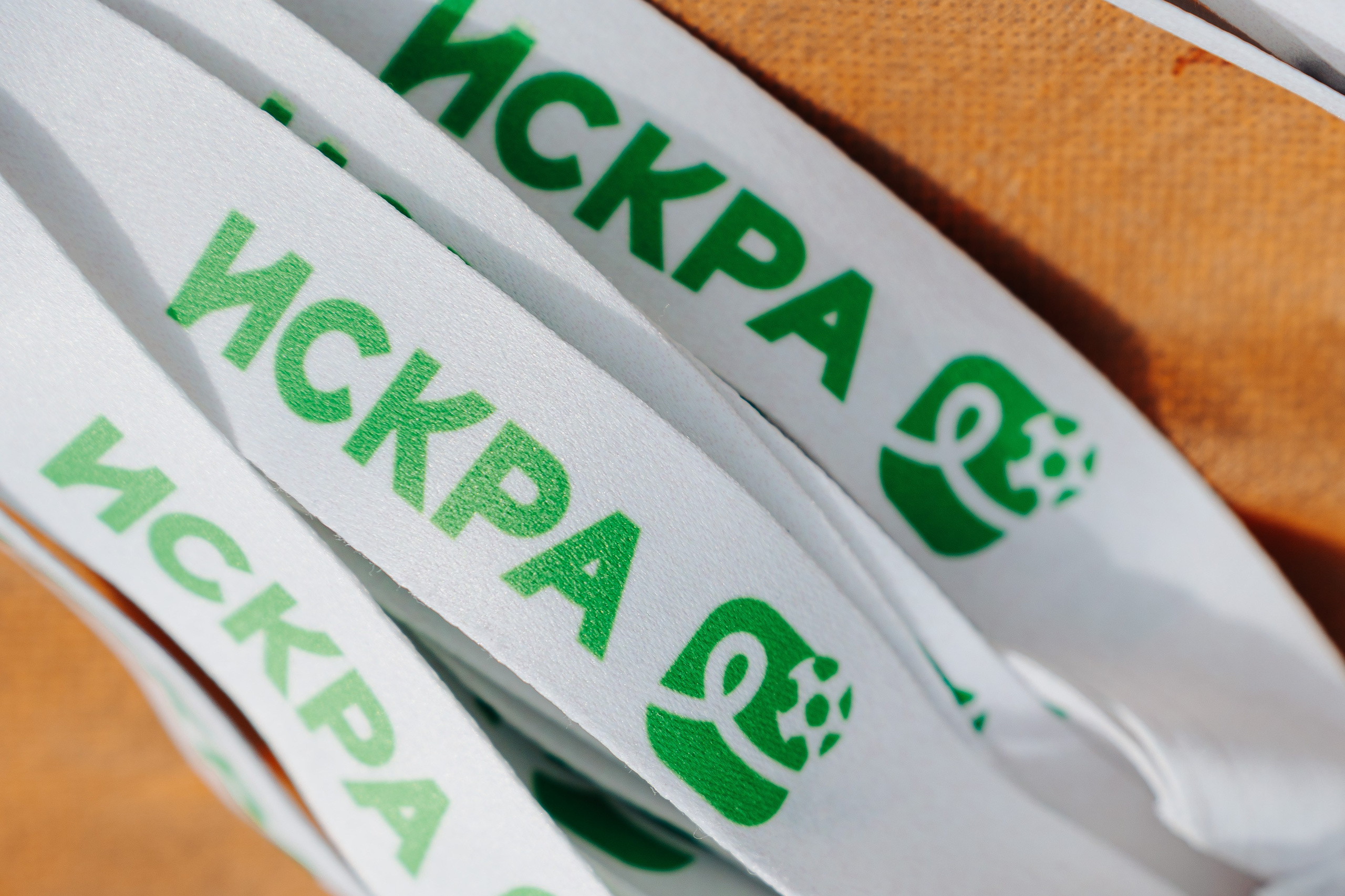 ИСКРА ФЕСТ 2024. Фотограф Новосибирск I Дамдинов Бато