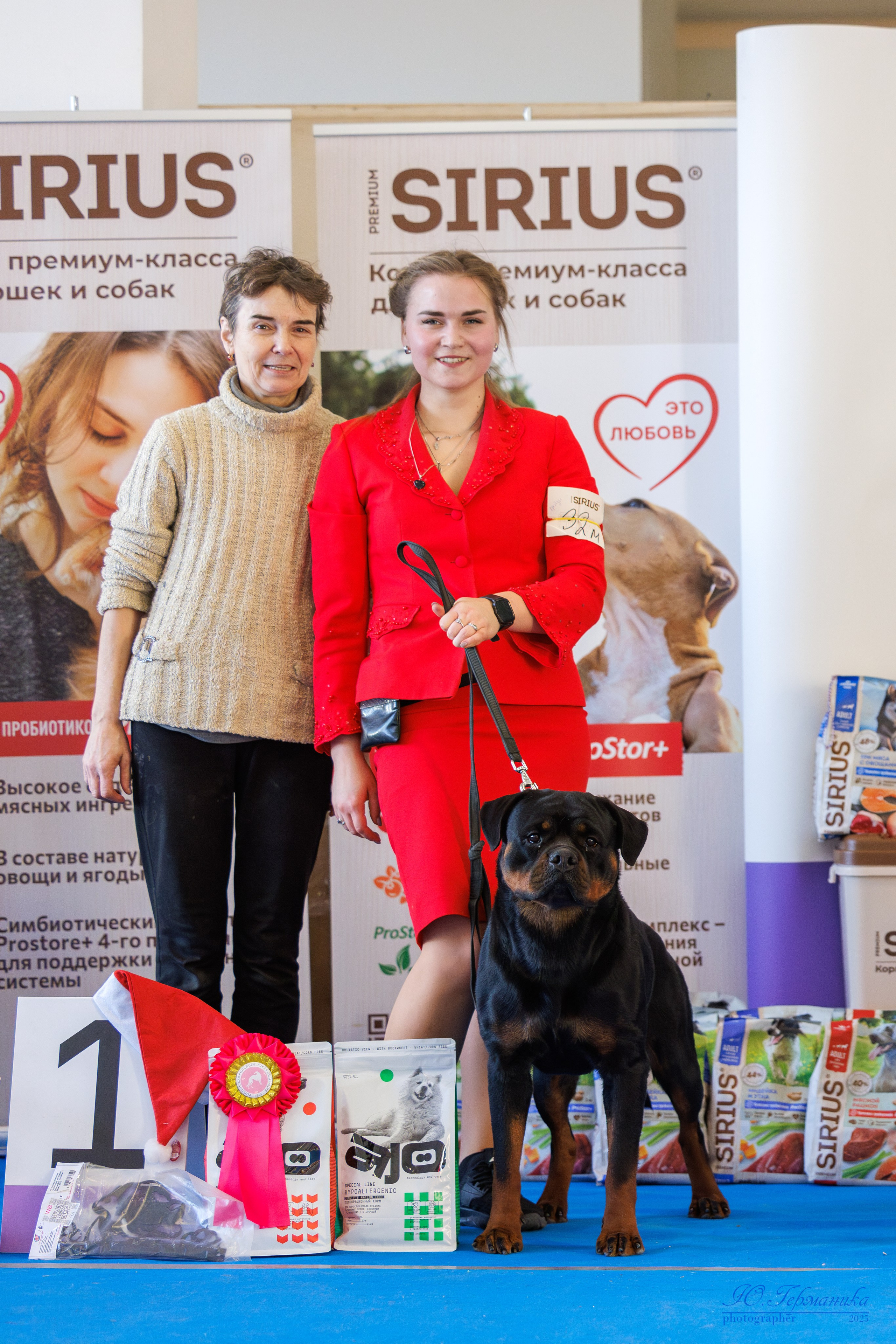 Питер ротвейлеры 18.01,Крокус 19.01.2025. Фотограф-анималист Юлия Германика