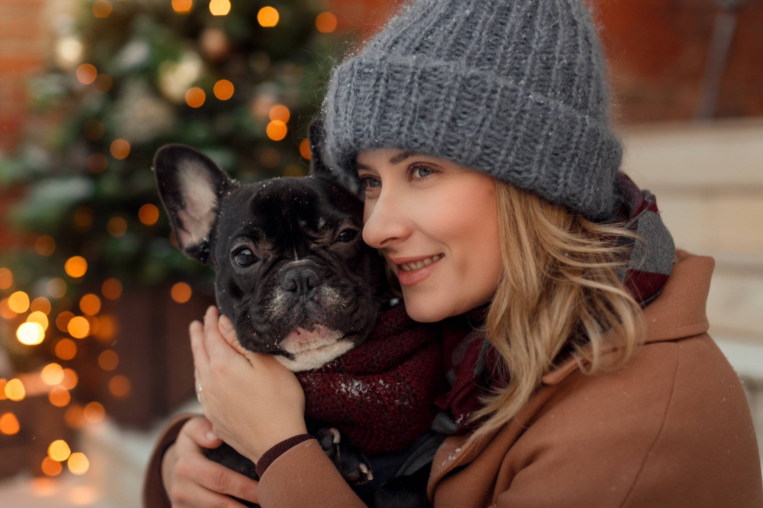 Фотосессии с вашими любимцами. Фотограф Артемьева Катерина|фотосессии с лошадьми