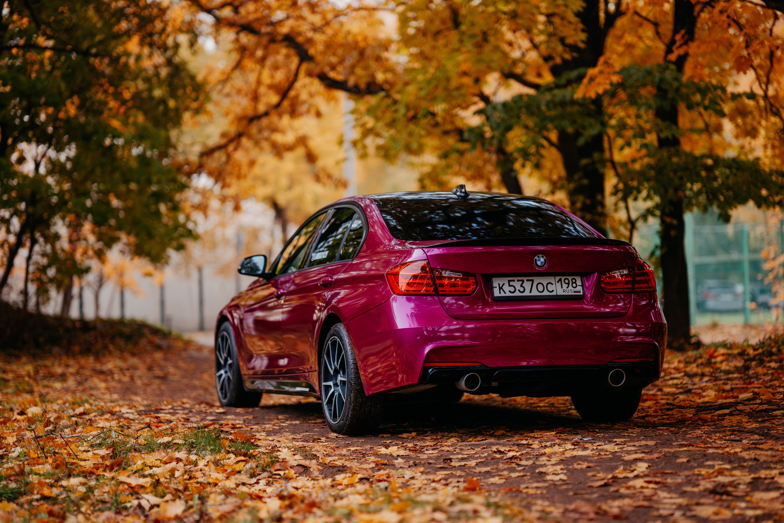 Алёна. Фотограф в Санкт-Петербурге Мария Александрова