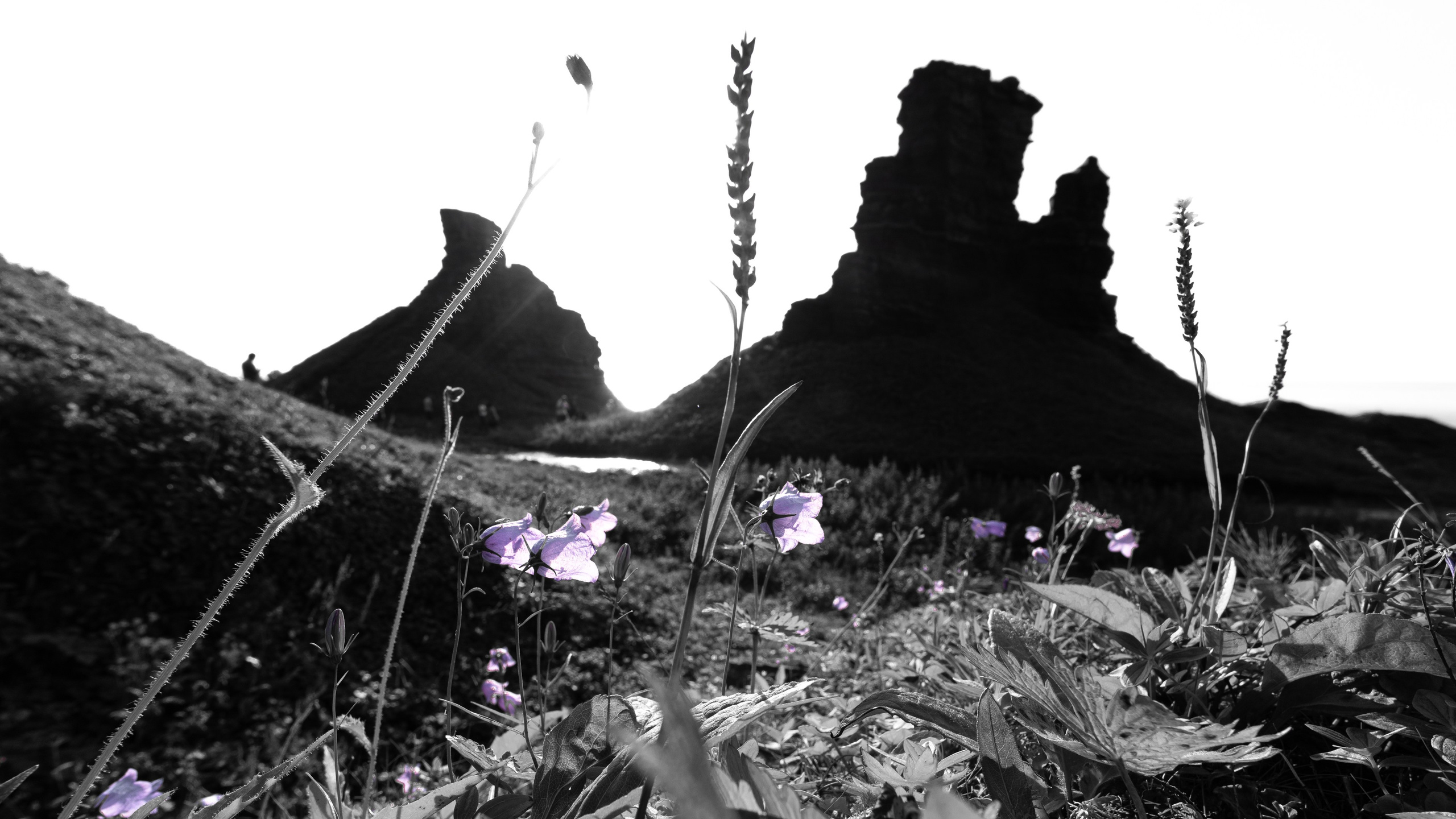 Кольский полуостров. ПОБУДЬ ЗДЕСЬ И ЦЕЛЕЕ БУДЕТ ЭТОТ МИР