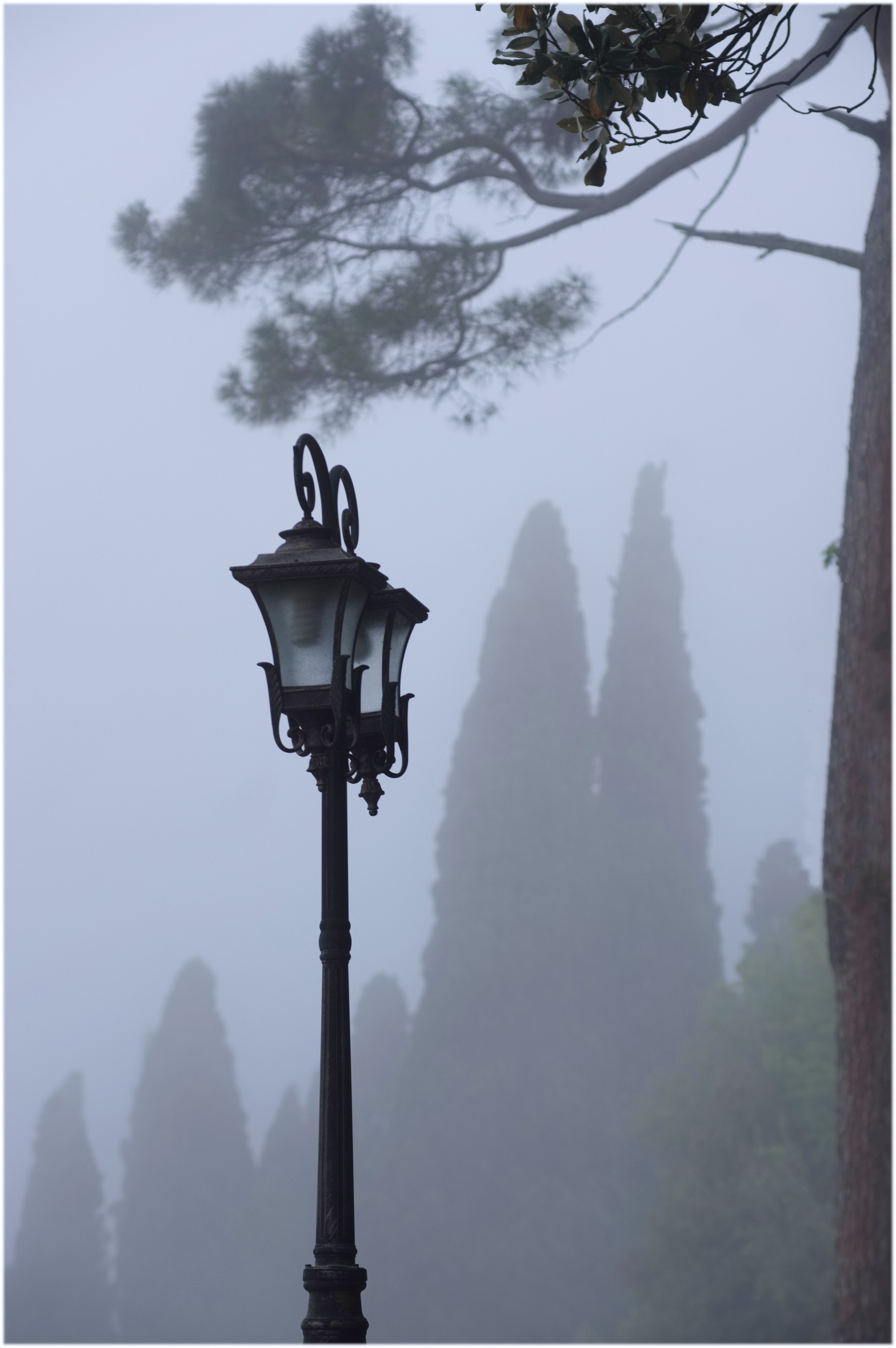 новый афон.утро.фонари