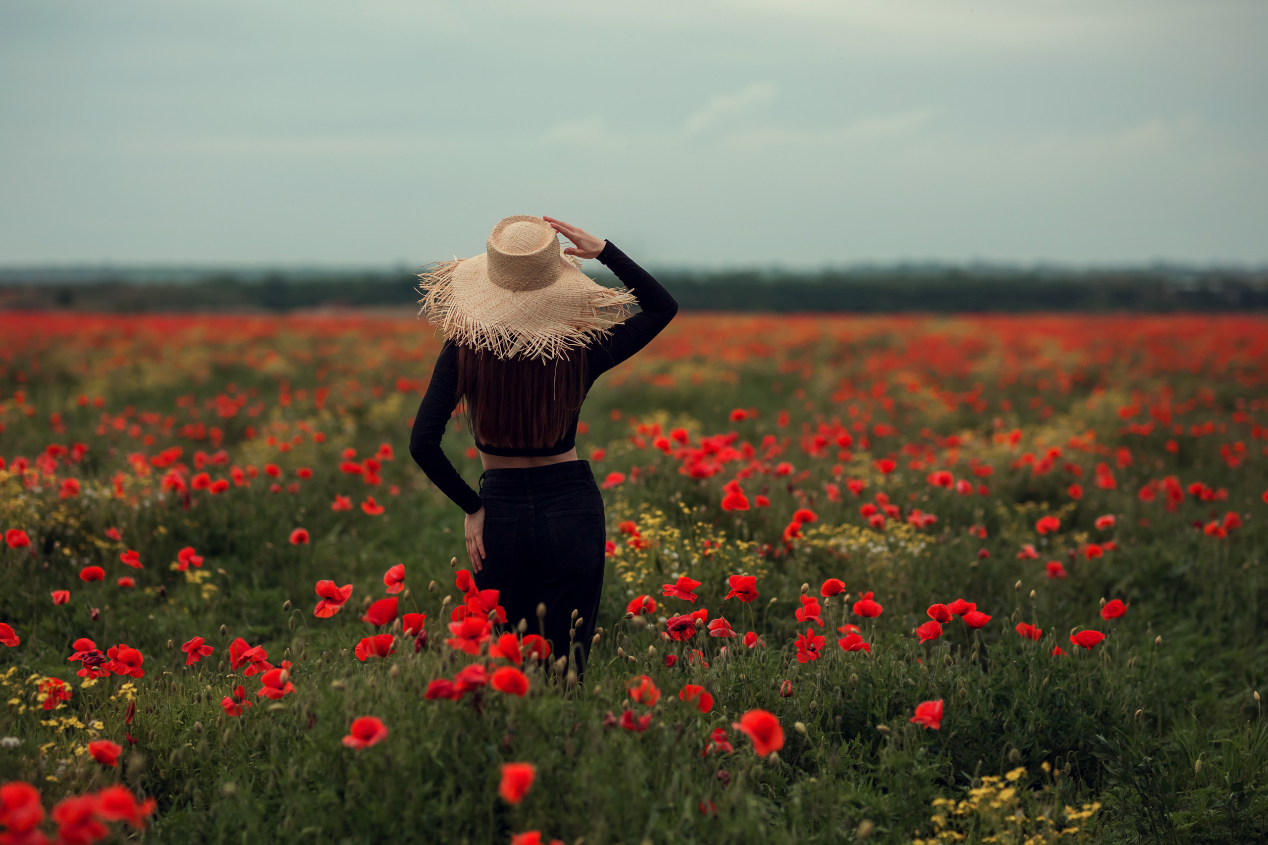 Маки. Семейный и детский фотограф Екатерина Савёлова