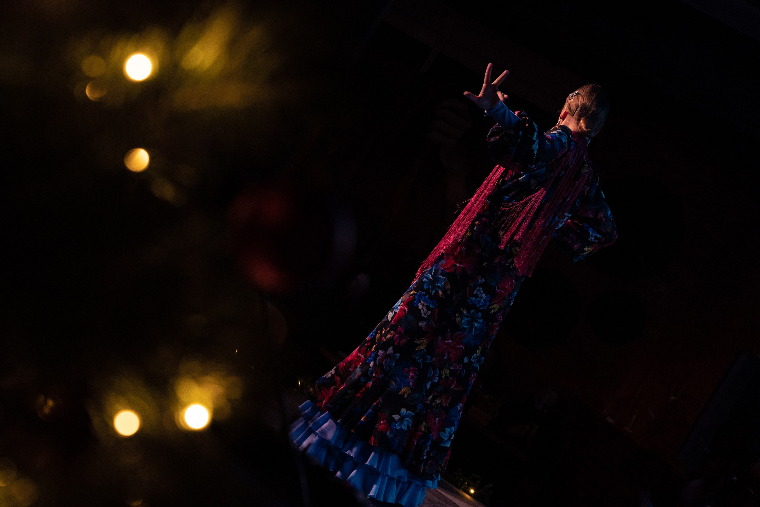 Flamenco 02.01.2025. Индивидуальные съемки, портретный фотограф