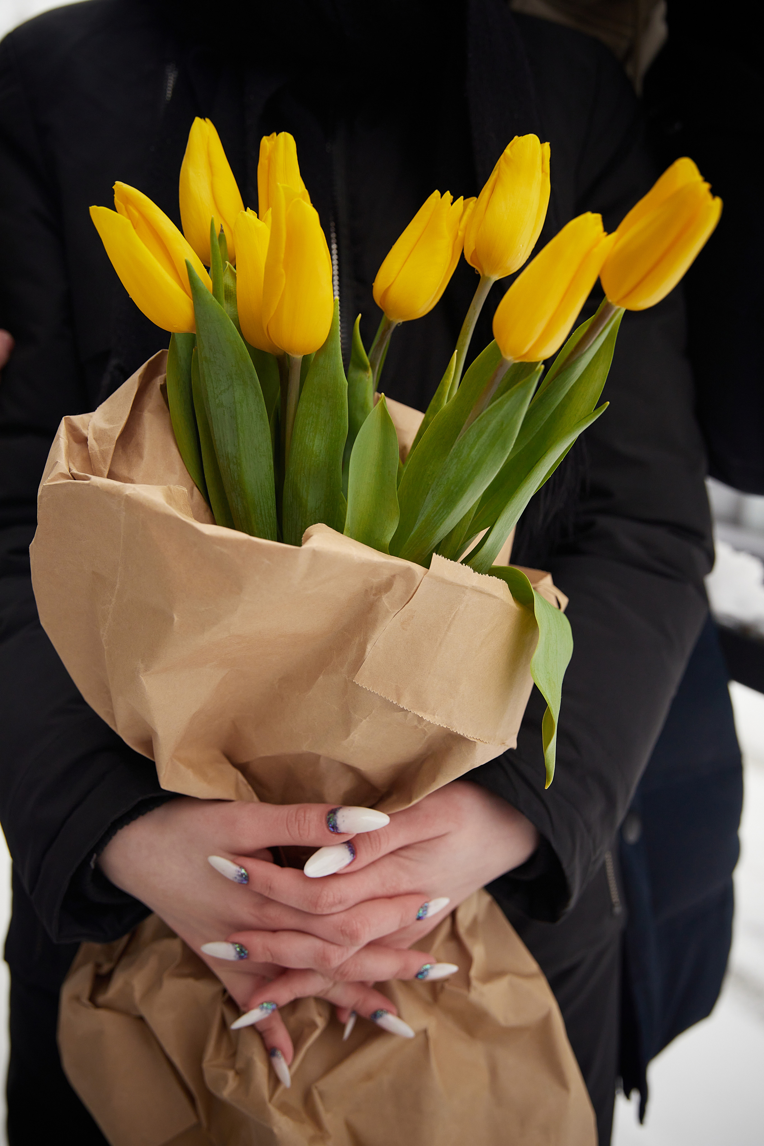 Тюльпаны. Татьяна Бабаева — Фотограф