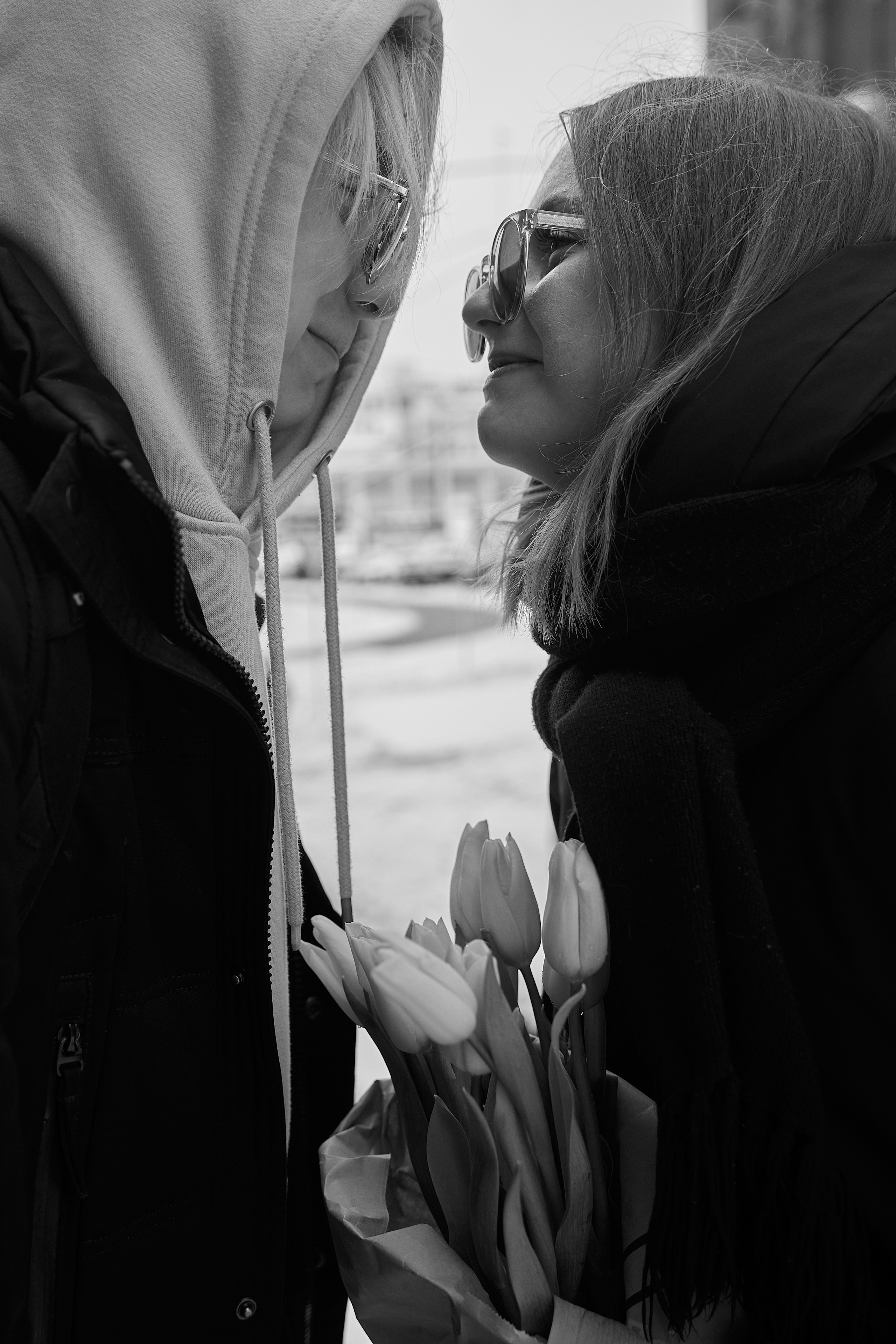 Тюльпаны. Татьяна Бабаева — Фотограф