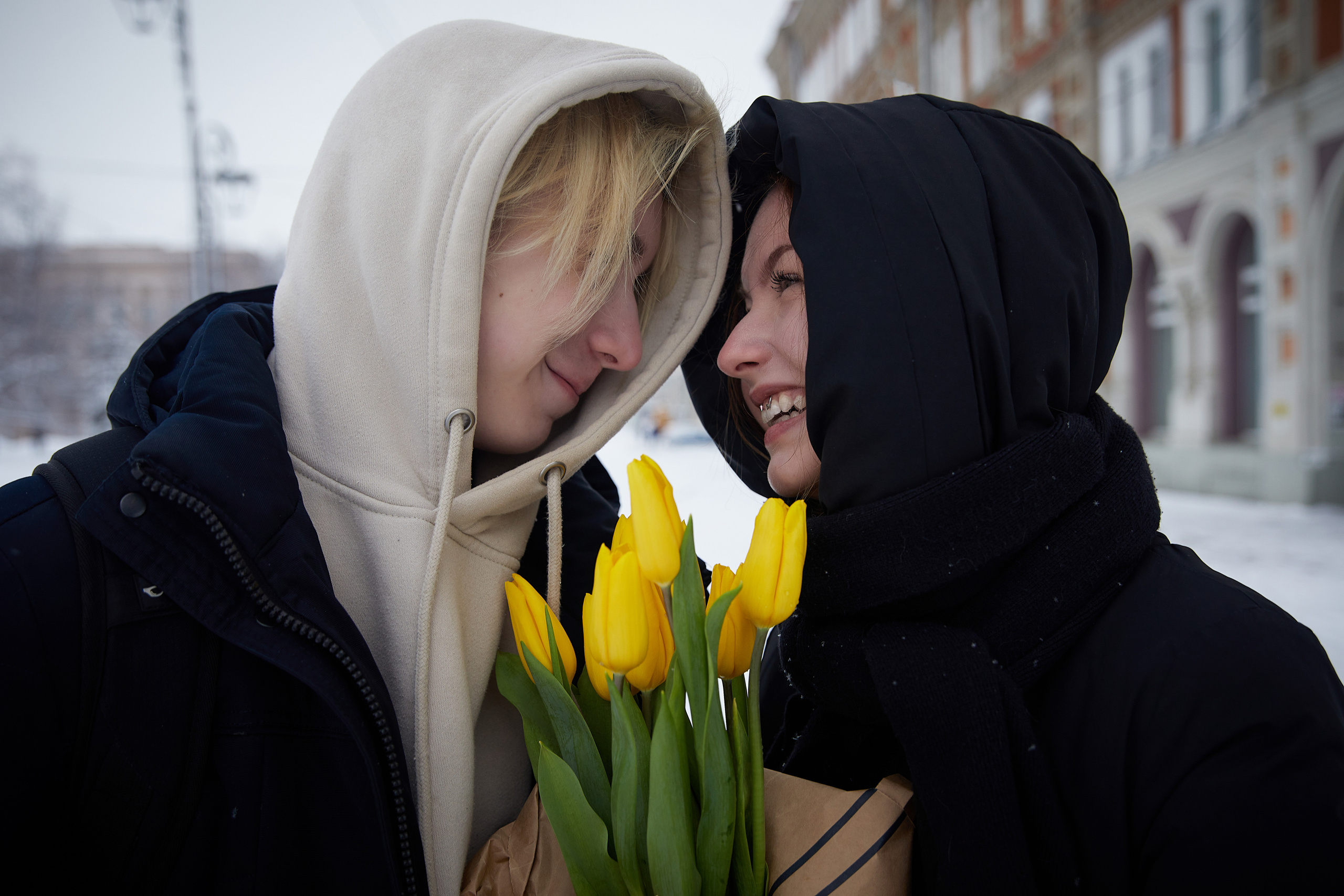 Тюльпаны. Татьяна Бабаева — Фотограф