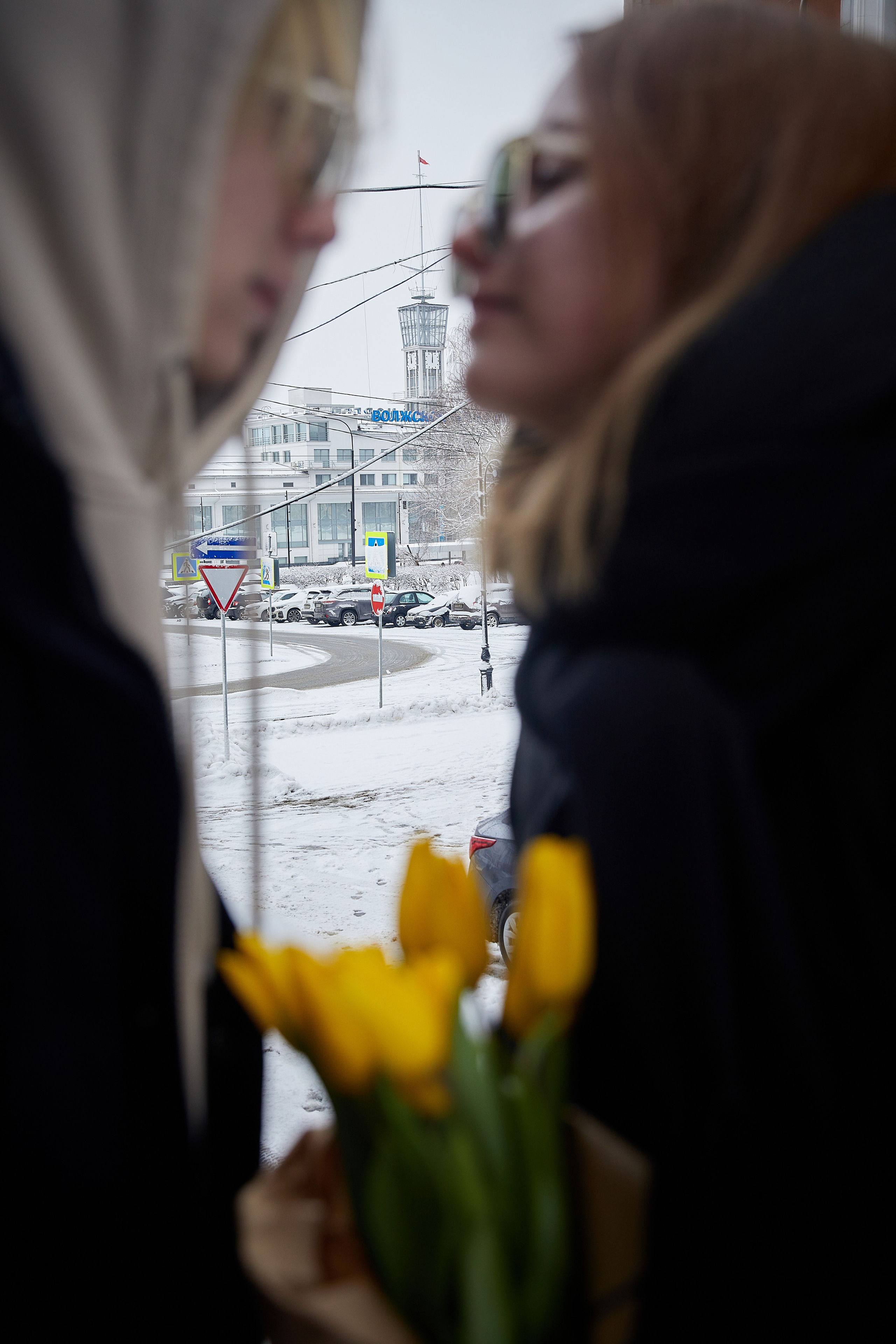 Тюльпаны. Татьяна Бабаева — Фотограф