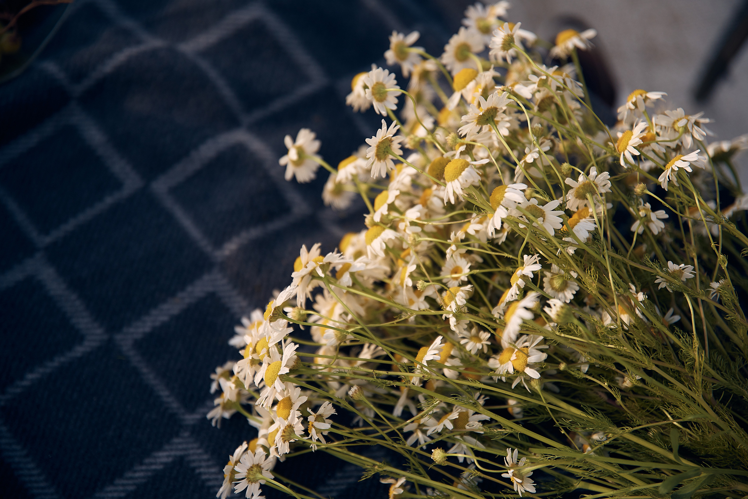 Яхта, море…. Татьяна Бабаева — Фотограф
