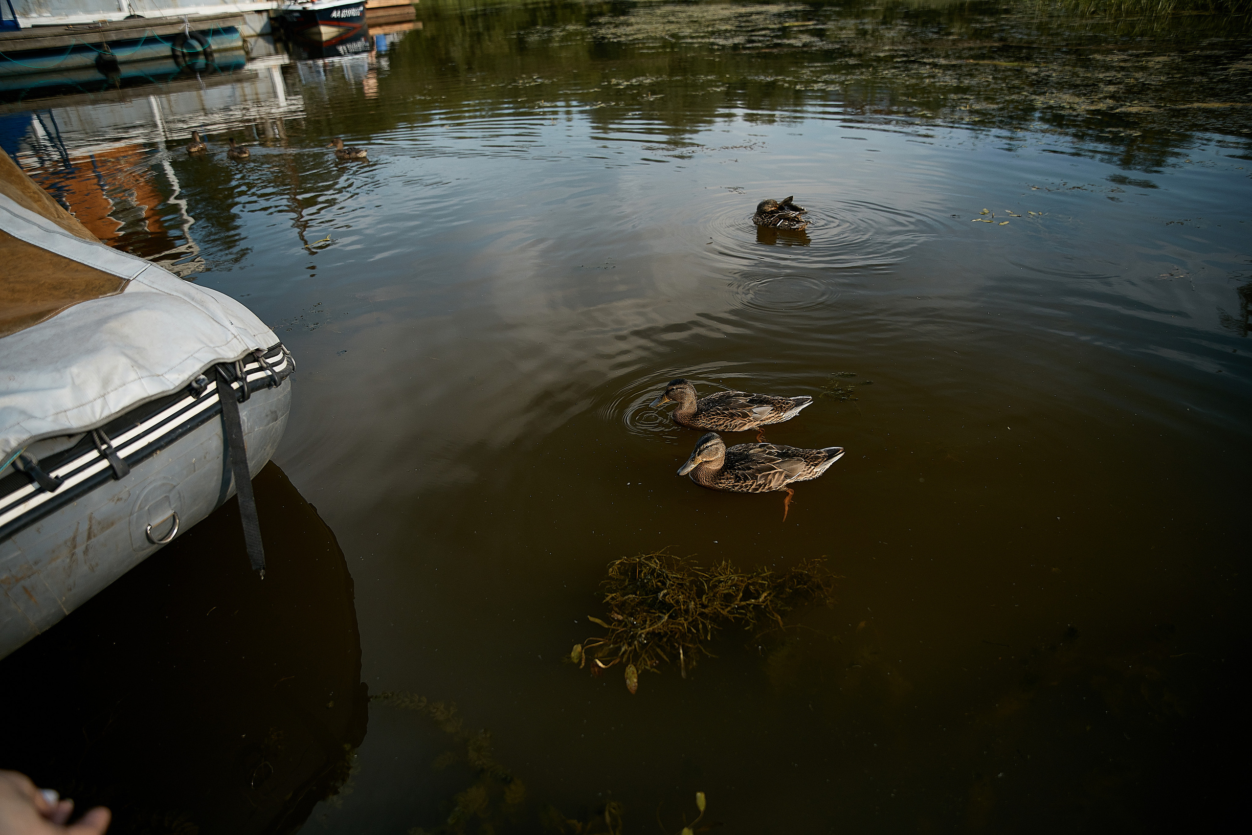 Яхта, море…. Татьяна Бабаева — Фотограф