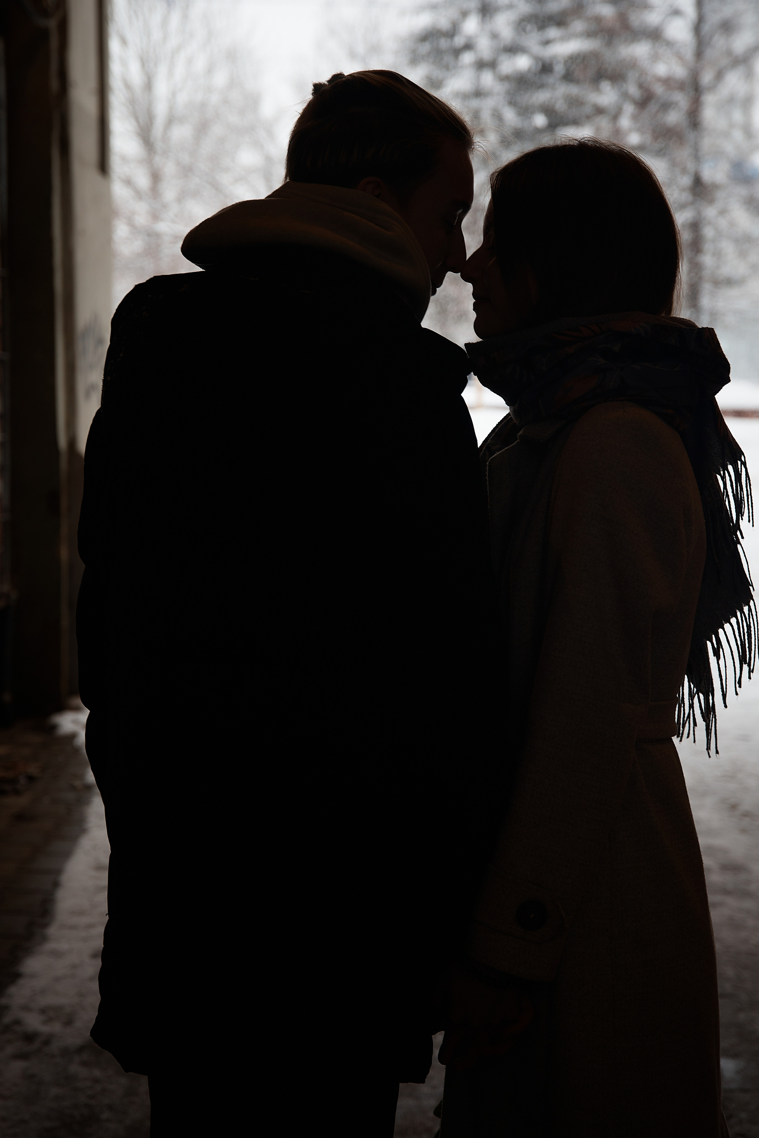 Тюльпаны. Татьяна Бабаева — Фотограф