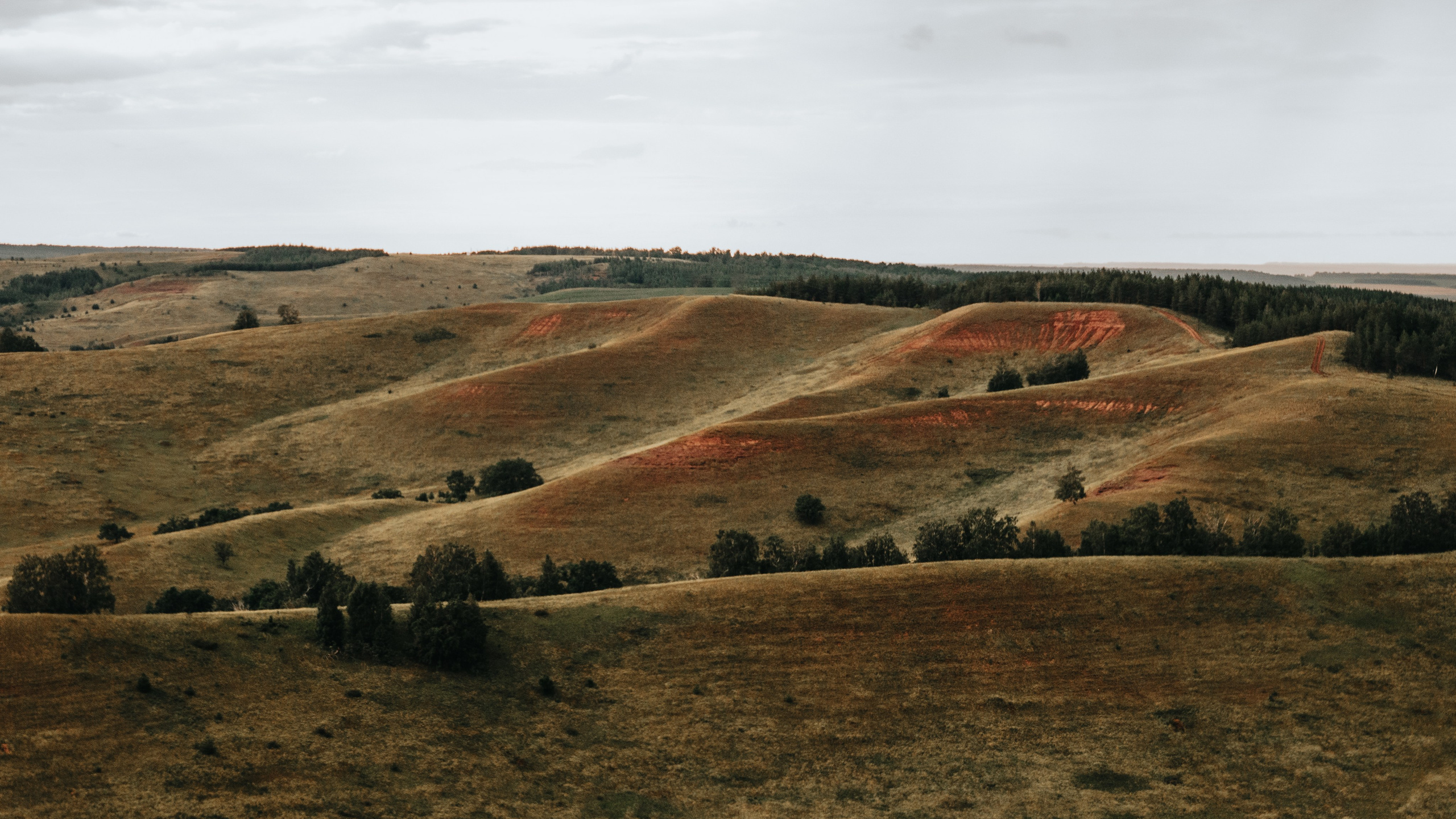 Индивидуальная съёмка для Айдара. Фотограф/видеограф Богдан Голованов