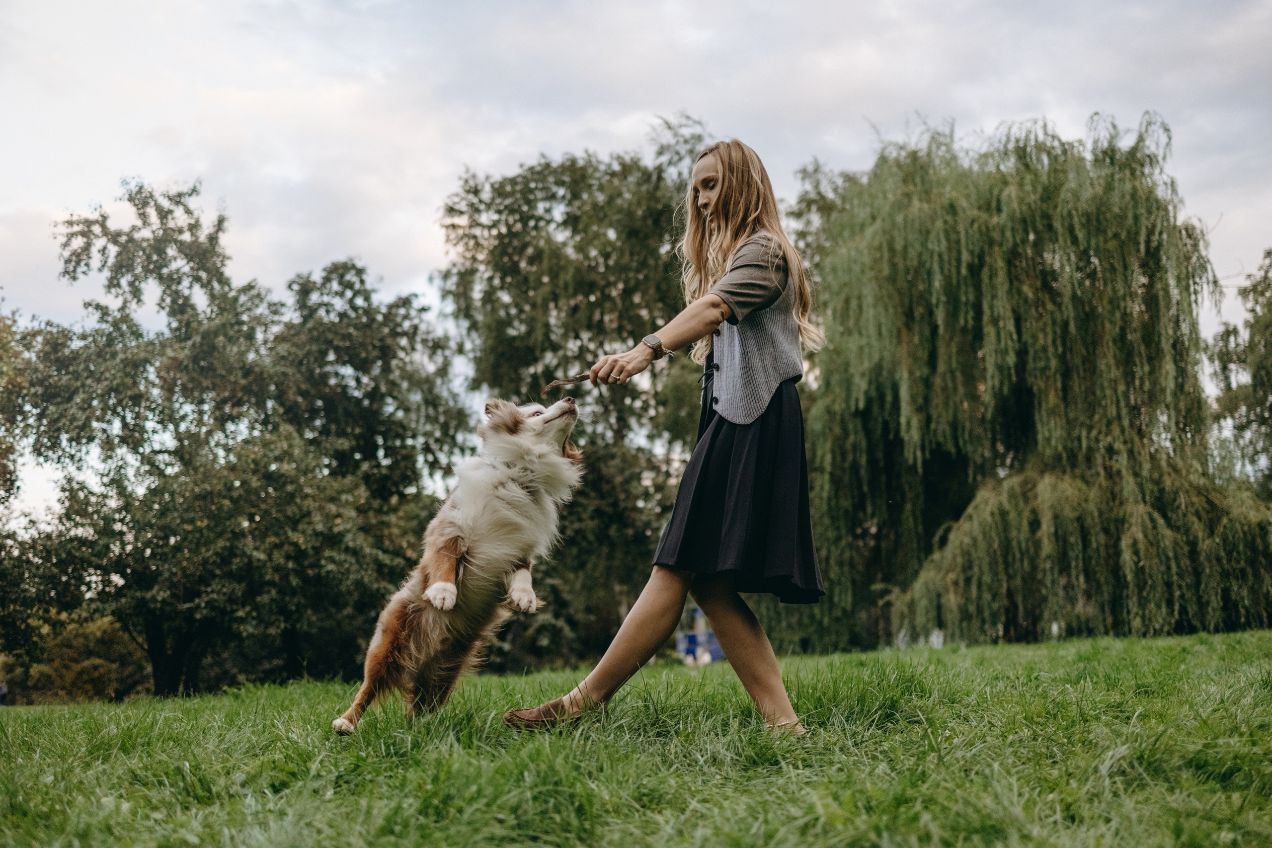Маша и Эклер. Фотограф — Анималист | Санкт-Петербург