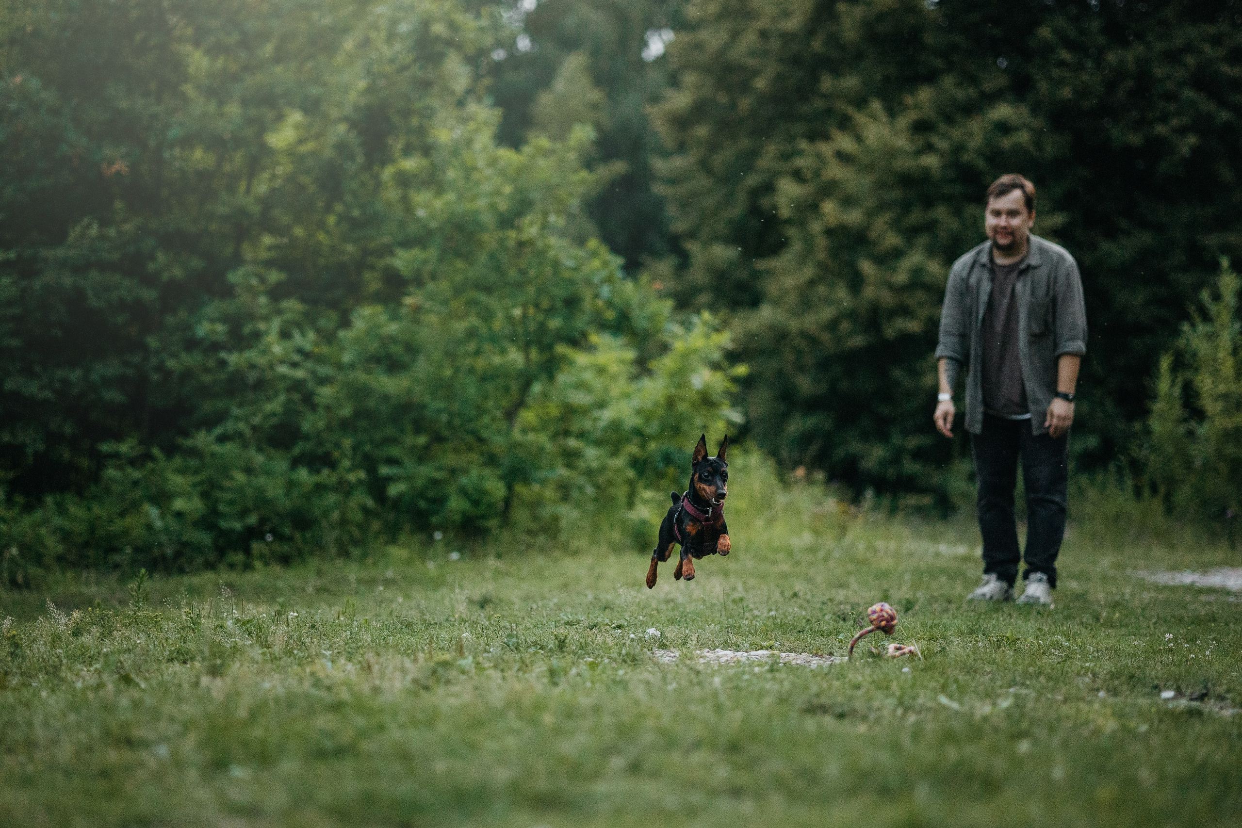 Сириус и его семья. Фотограф — Анималист | Санкт-Петербург