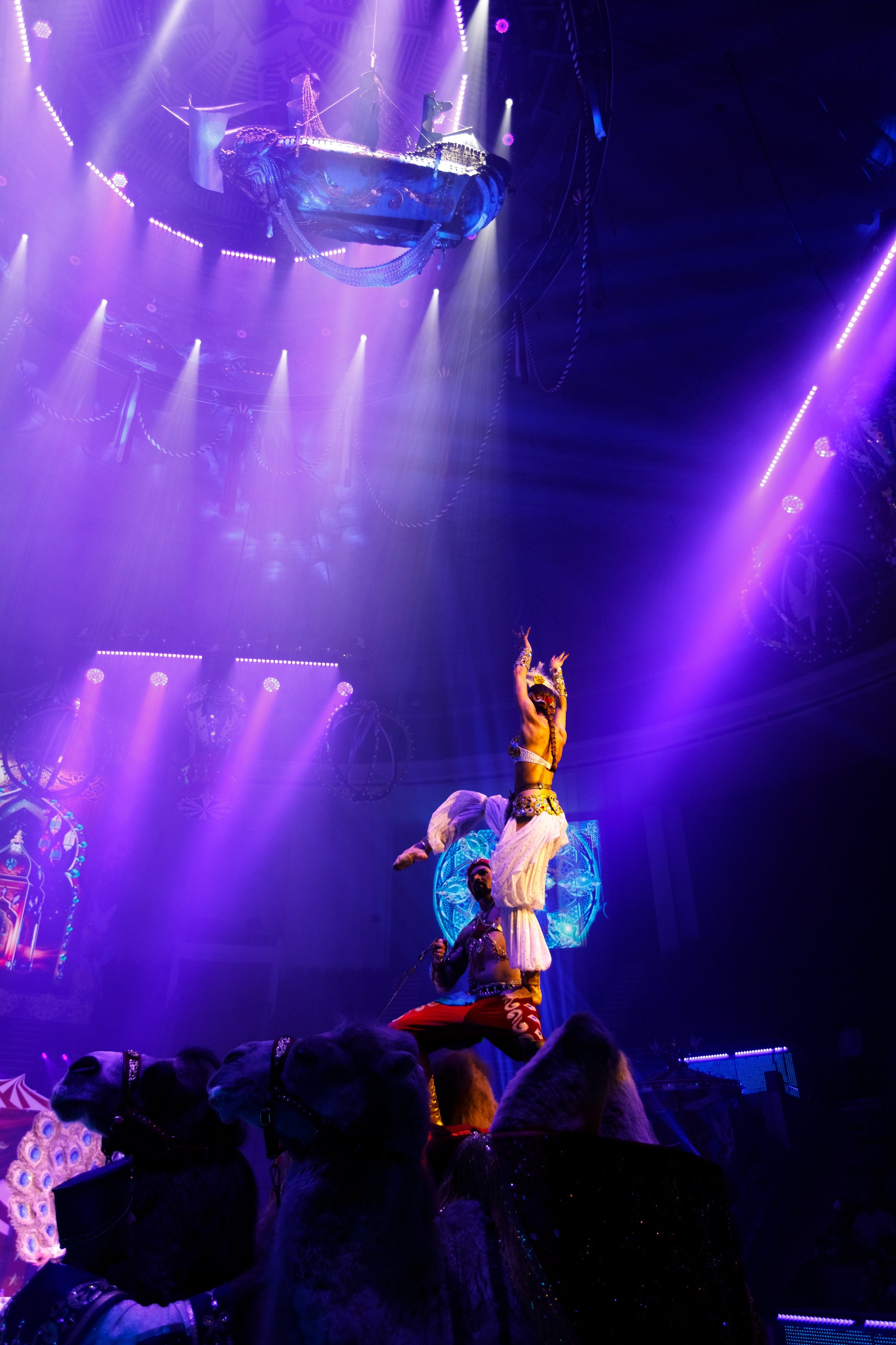 Сочинский росгорцирк Шоу Гии Эрадзе цирк. Профессиональный фотограф в Сочи Виктория Джой. Обучение