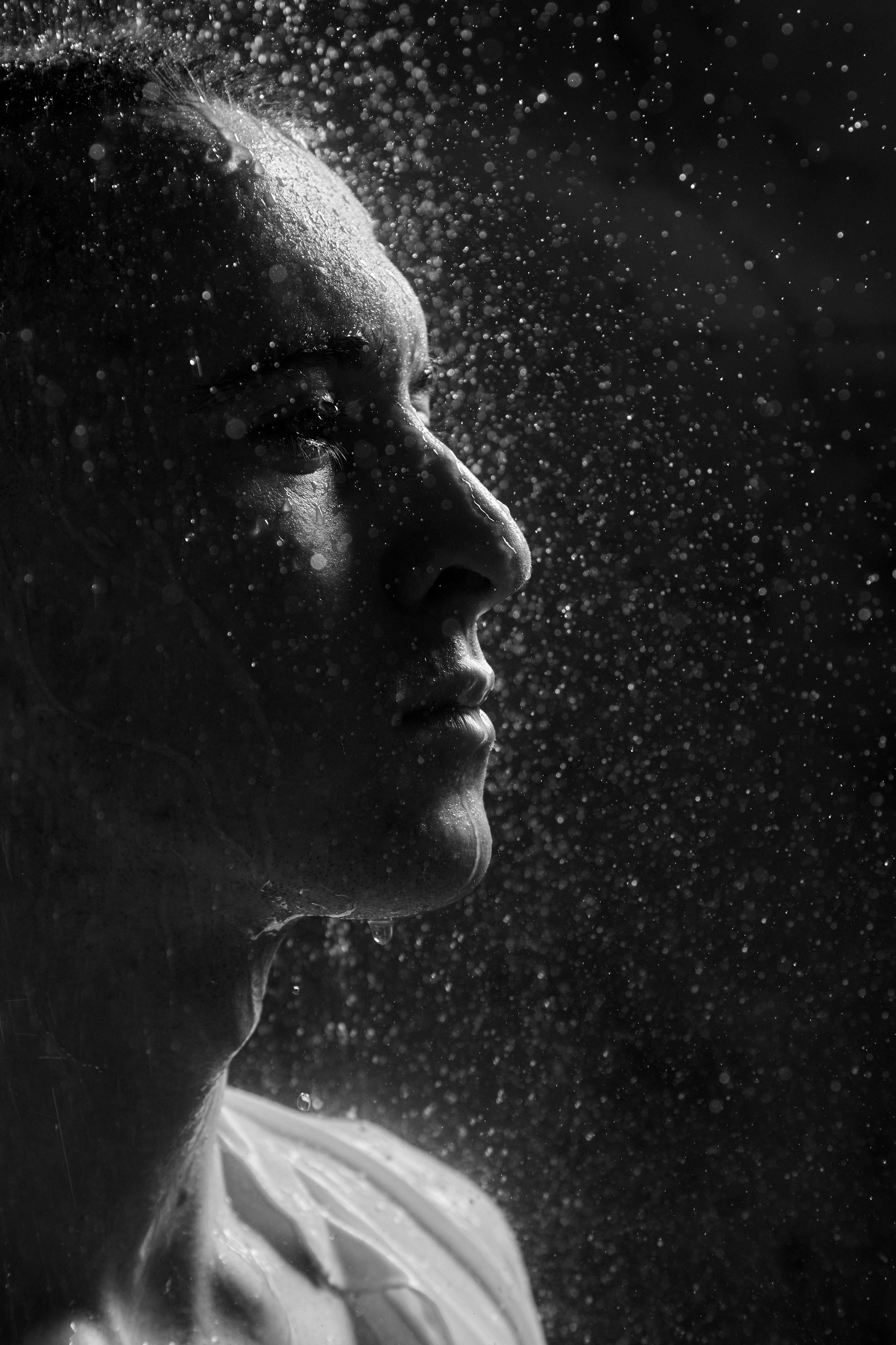 Портреты и Проекты