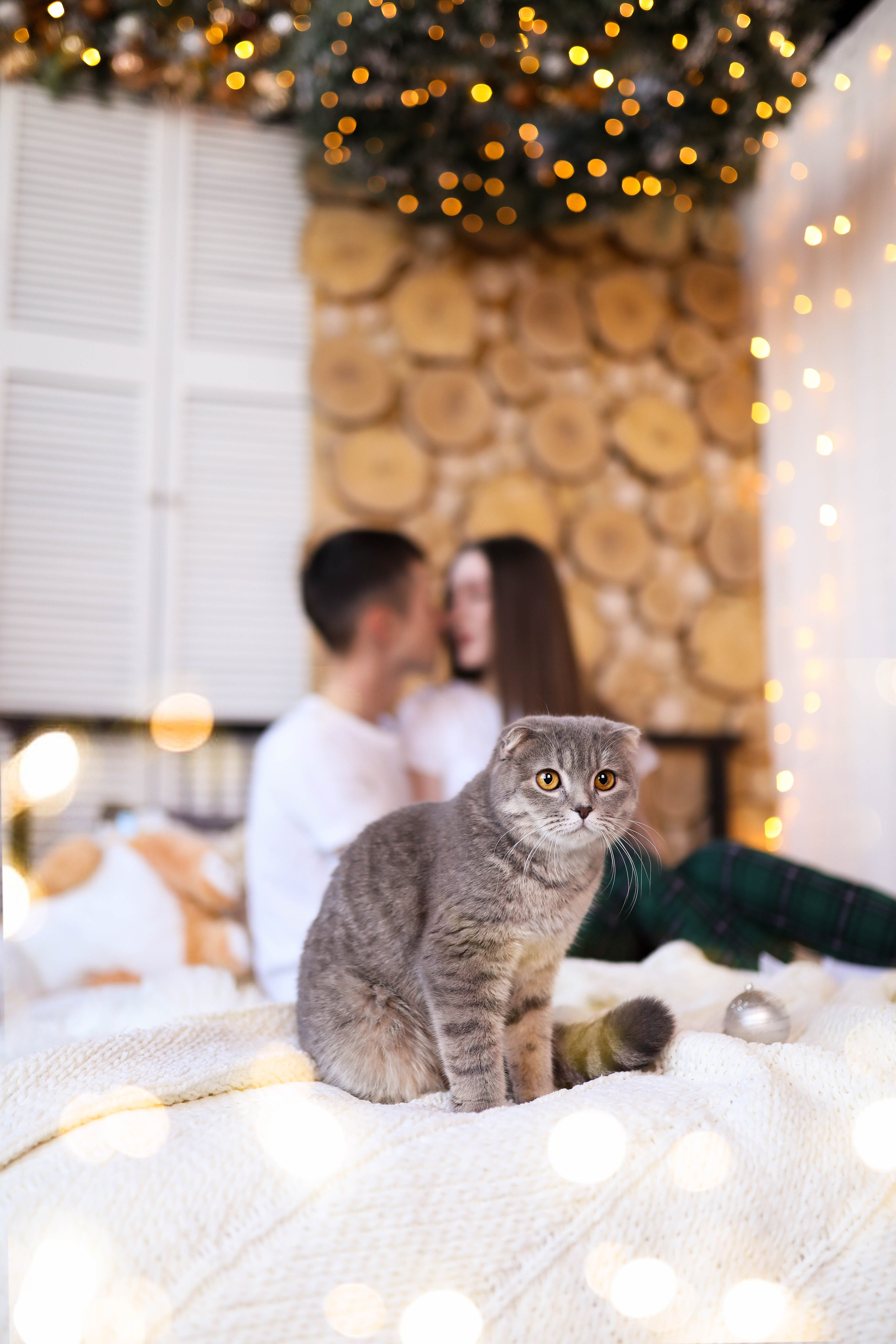 Егор, Юля и Киви. ФОТОГРАФ ХАБАРОВСК АНАСТАСИЯ РАЧЕНКОВА