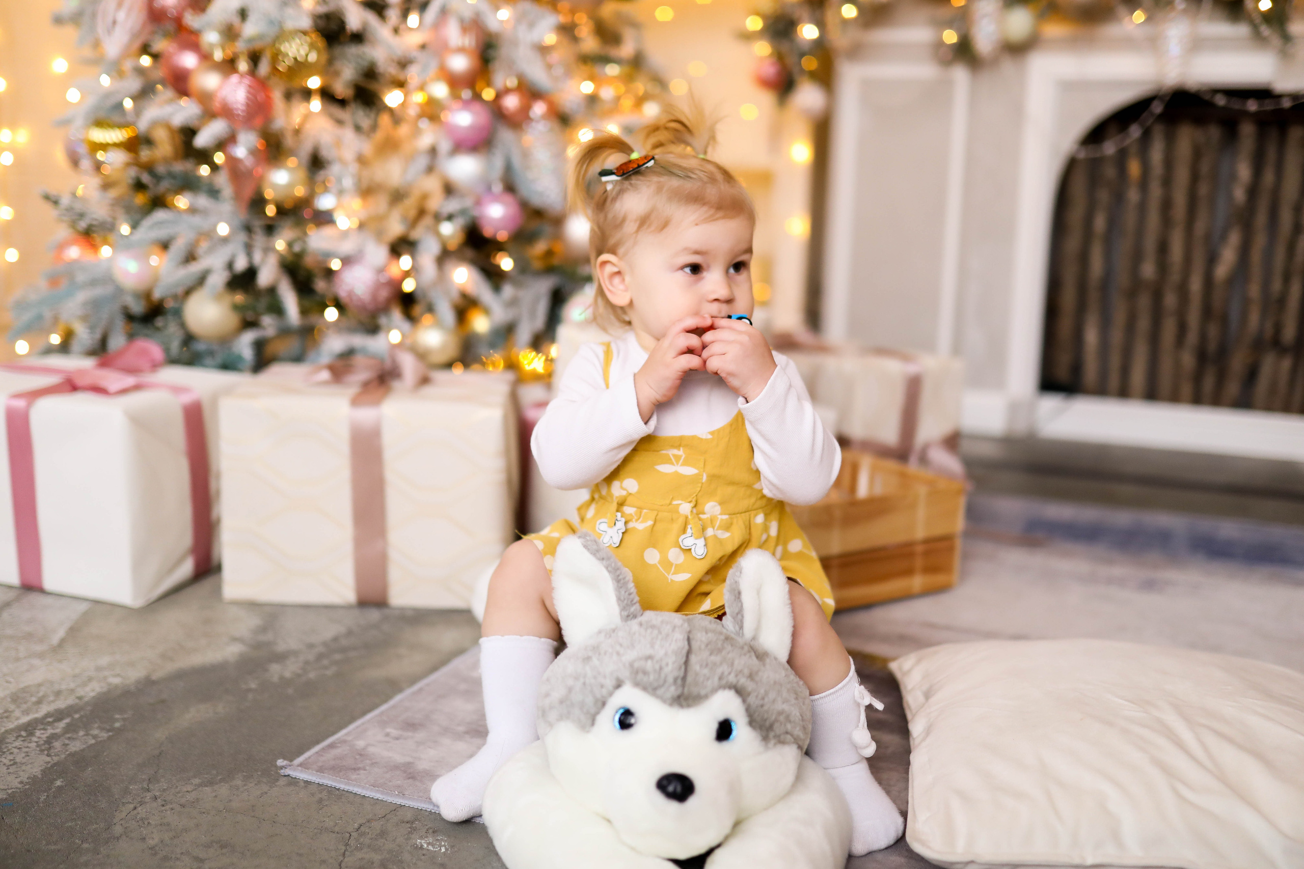 Новогодняя фотосессия в залах Флет и Рим. ФОТОГРАФ ХАБАРОВСК АНАСТАСИЯ РАЧЕНКОВА