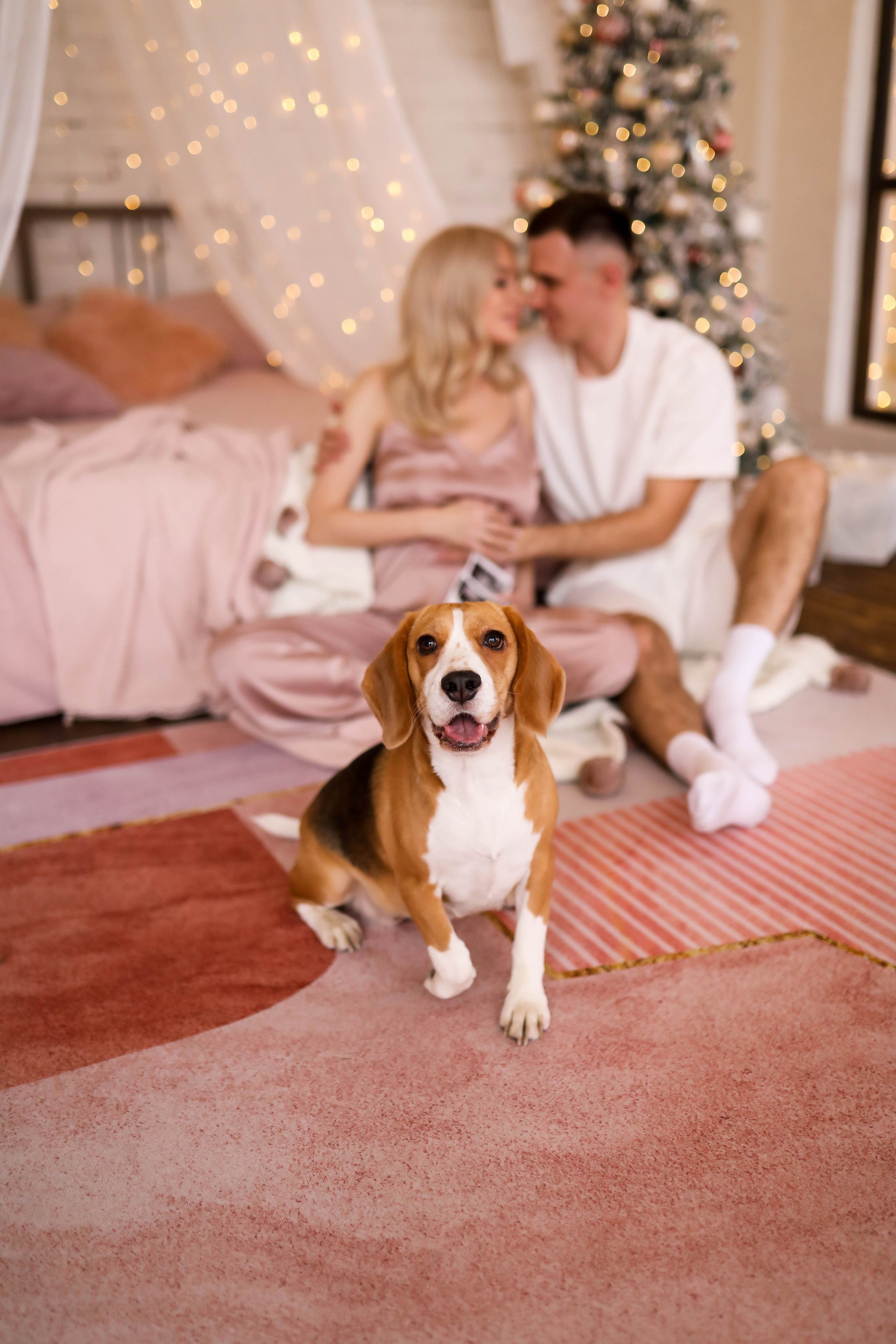 Максим, Алёна и Мэй в ожидании чуда. ФОТОГРАФ ХАБАРОВСК АНАСТАСИЯ РАЧЕНКОВА