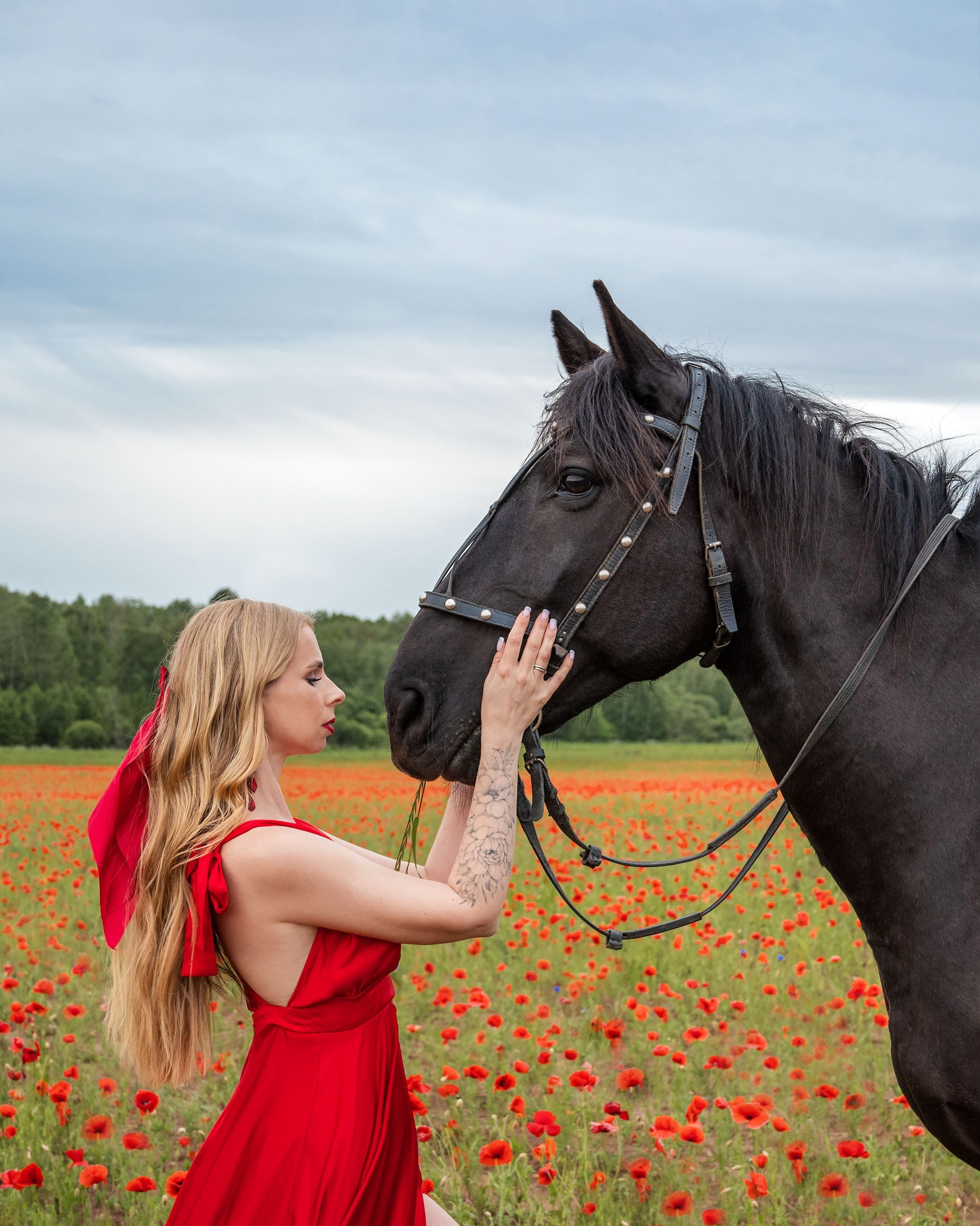 Прогулки с питомцами и без. Фотограф анималист