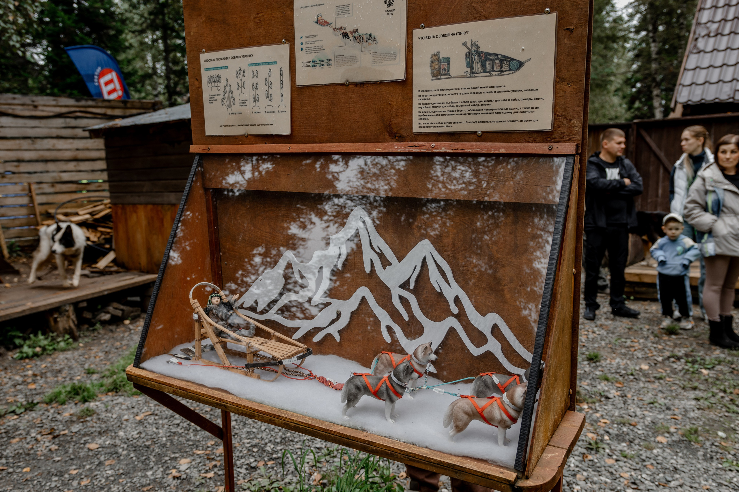 Дог-треккинг