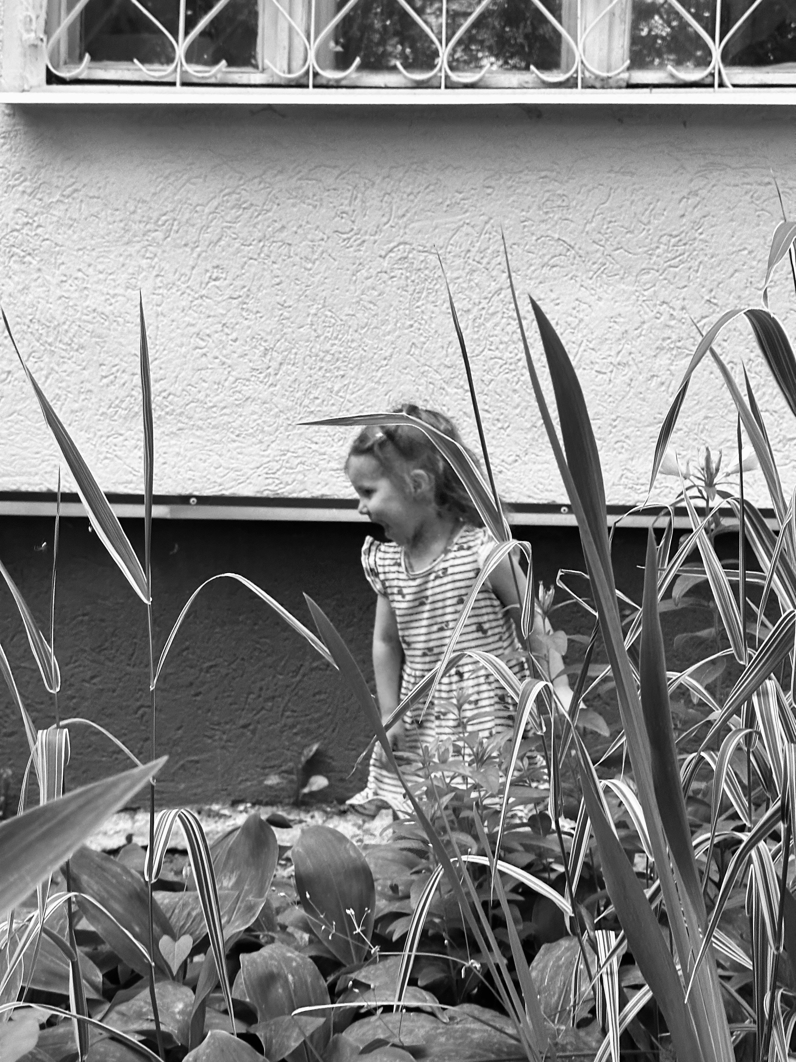 Дети. Смотри, красота!