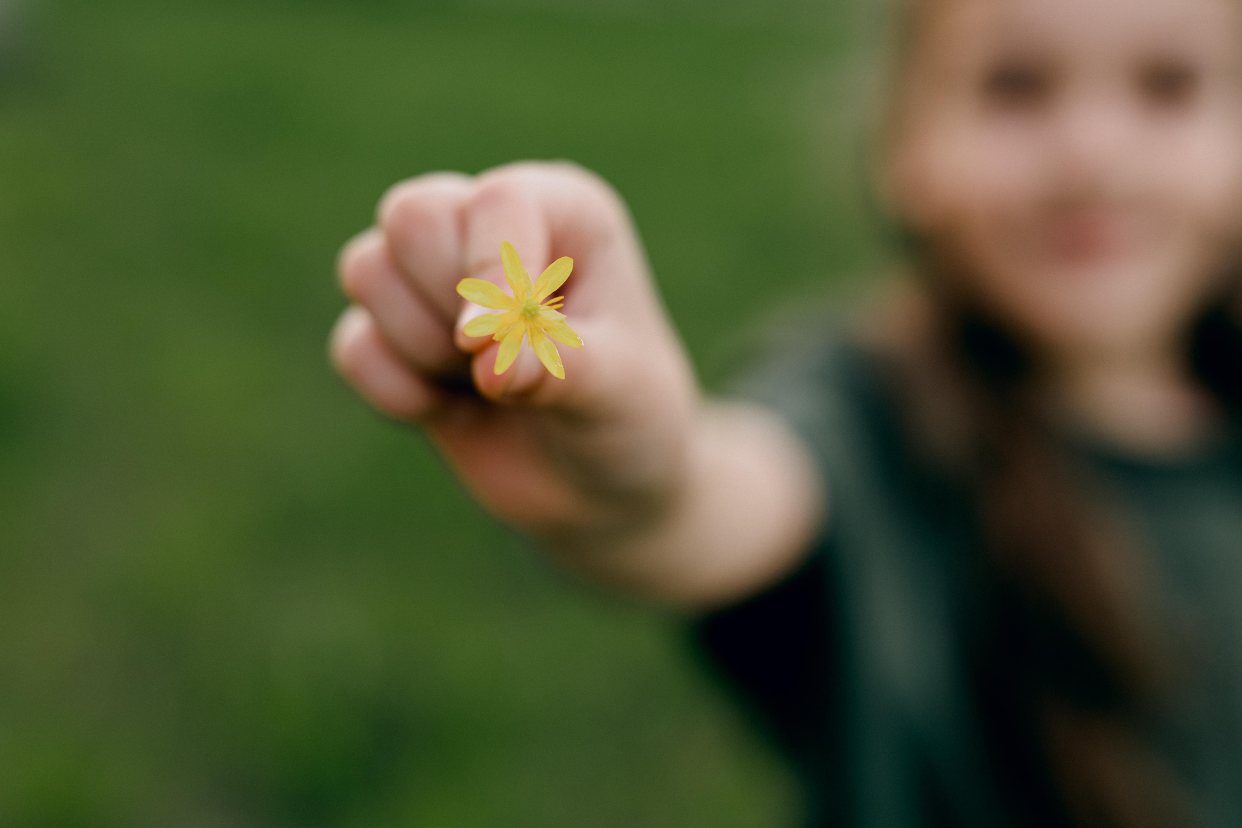 Однажды мы поймали солнце. Варвара Синицына: семейный фотограф в Москве