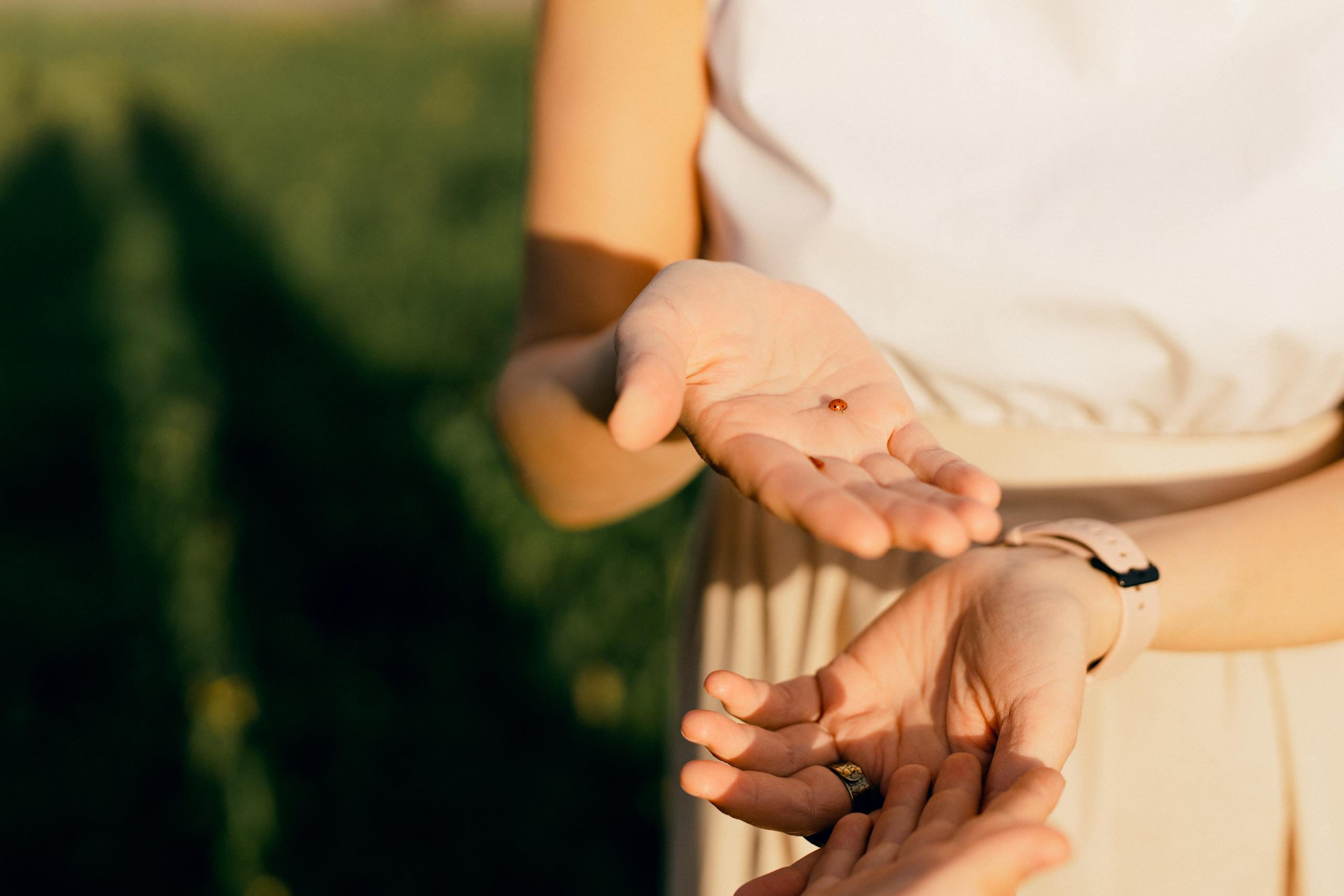 Однажды мы поймали солнце. Варвара Синицына: семейный фотограф в Москве